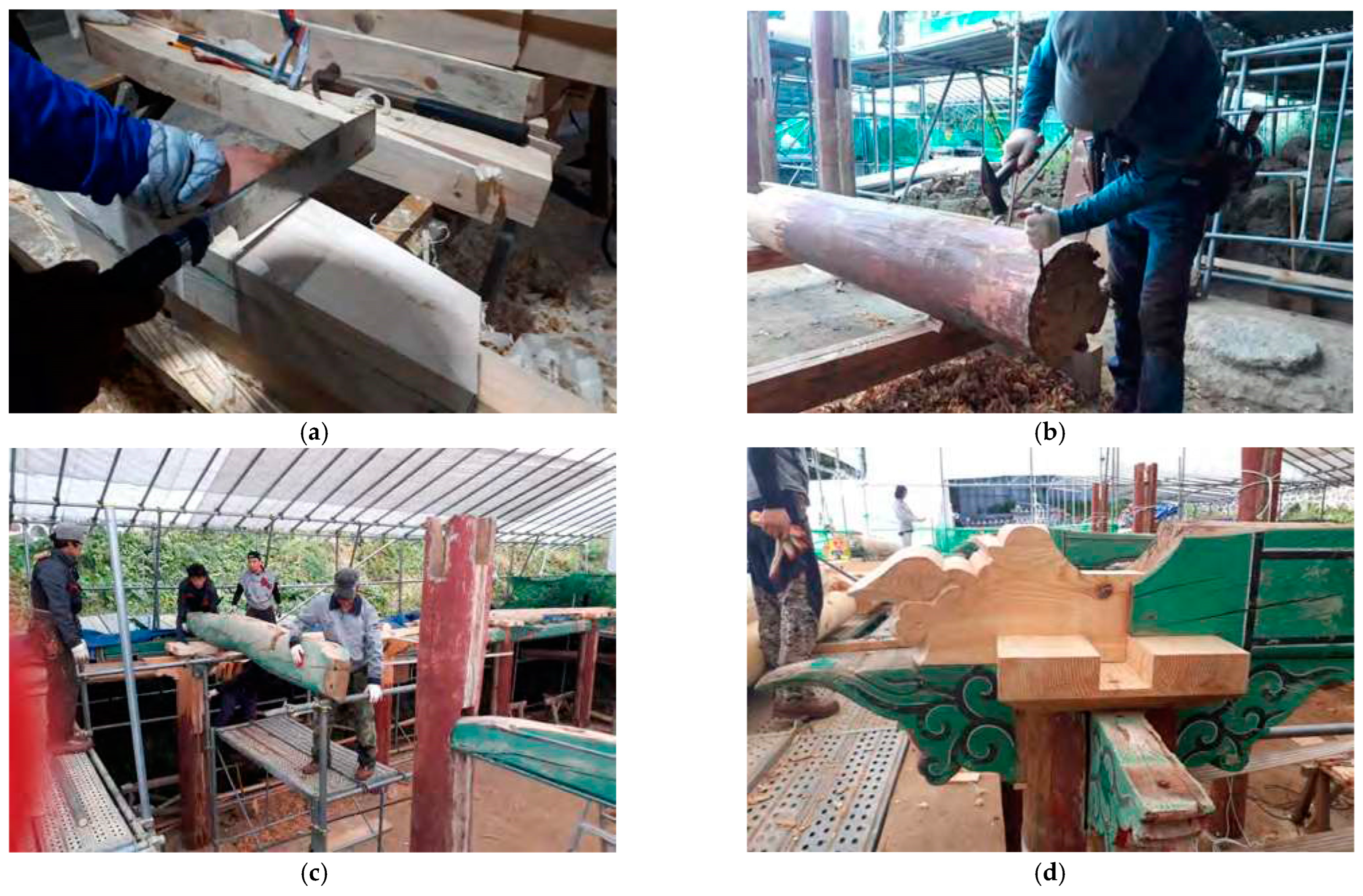 Sustainability 16 01101 g006