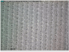 Sustainability 16 01121 i001