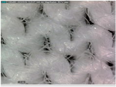 Sustainability 16 01121 i006