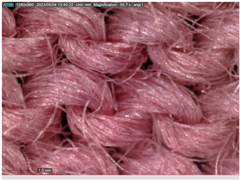 Sustainability 16 01121 i012