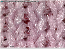 Sustainability 16 01121 i023