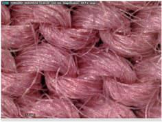 Sustainability 16 01121 i028