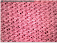 Sustainability 16 01121 i032