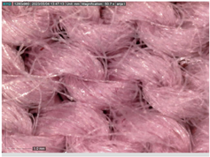 Sustainability 16 01121 i036