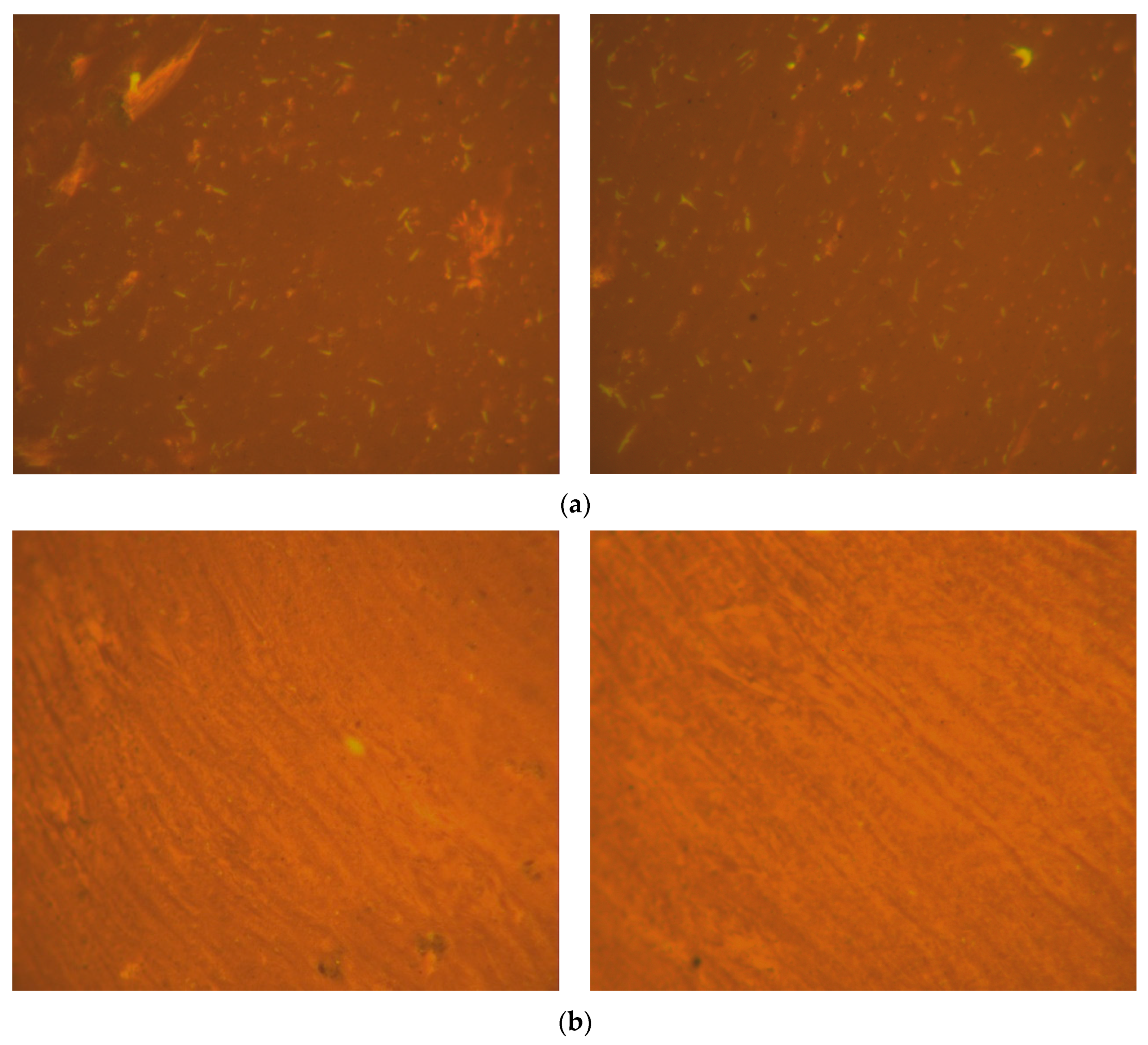 Sustainability 16 01122 g010
