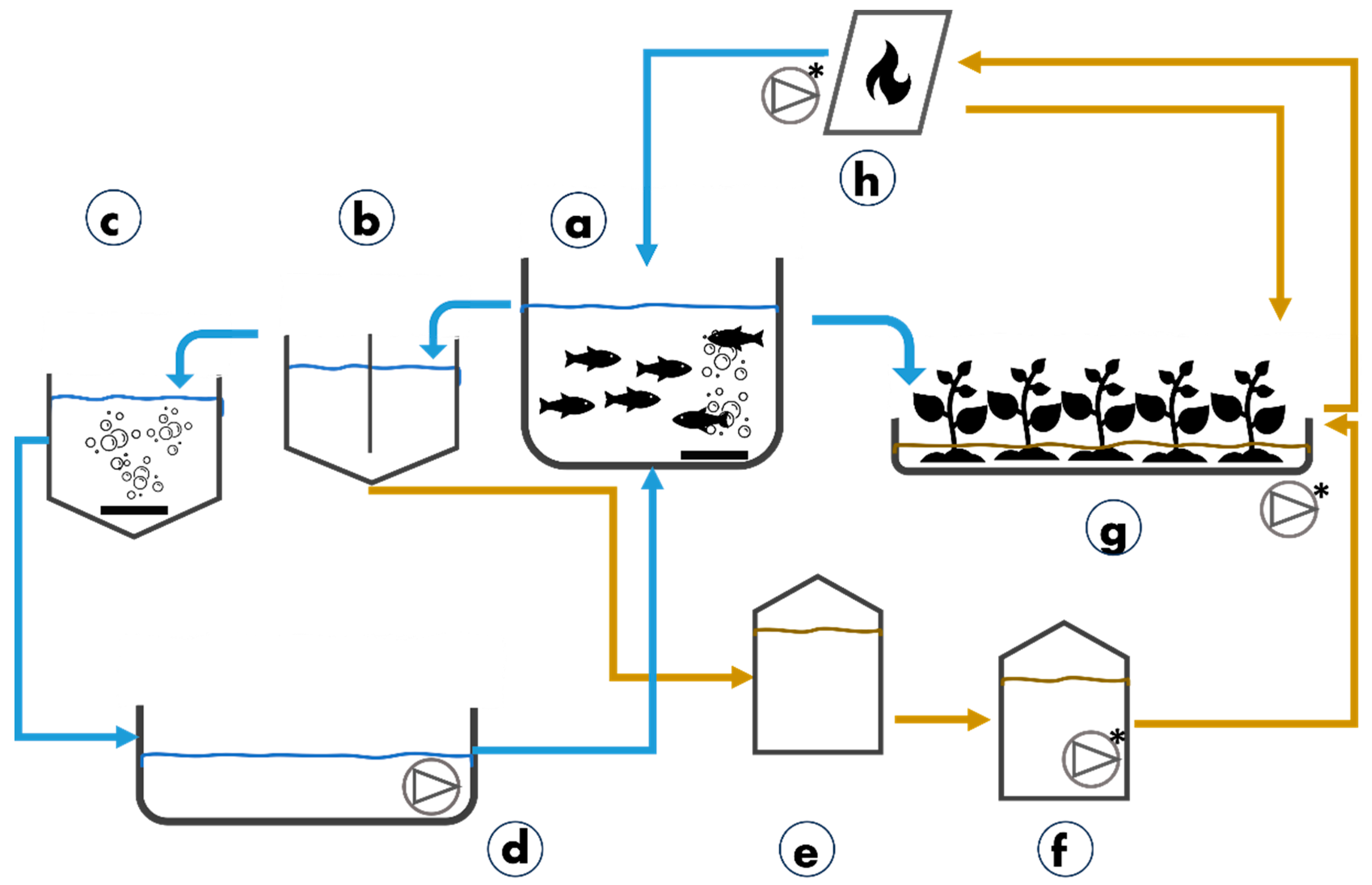 Sustainability 16 01130 g002