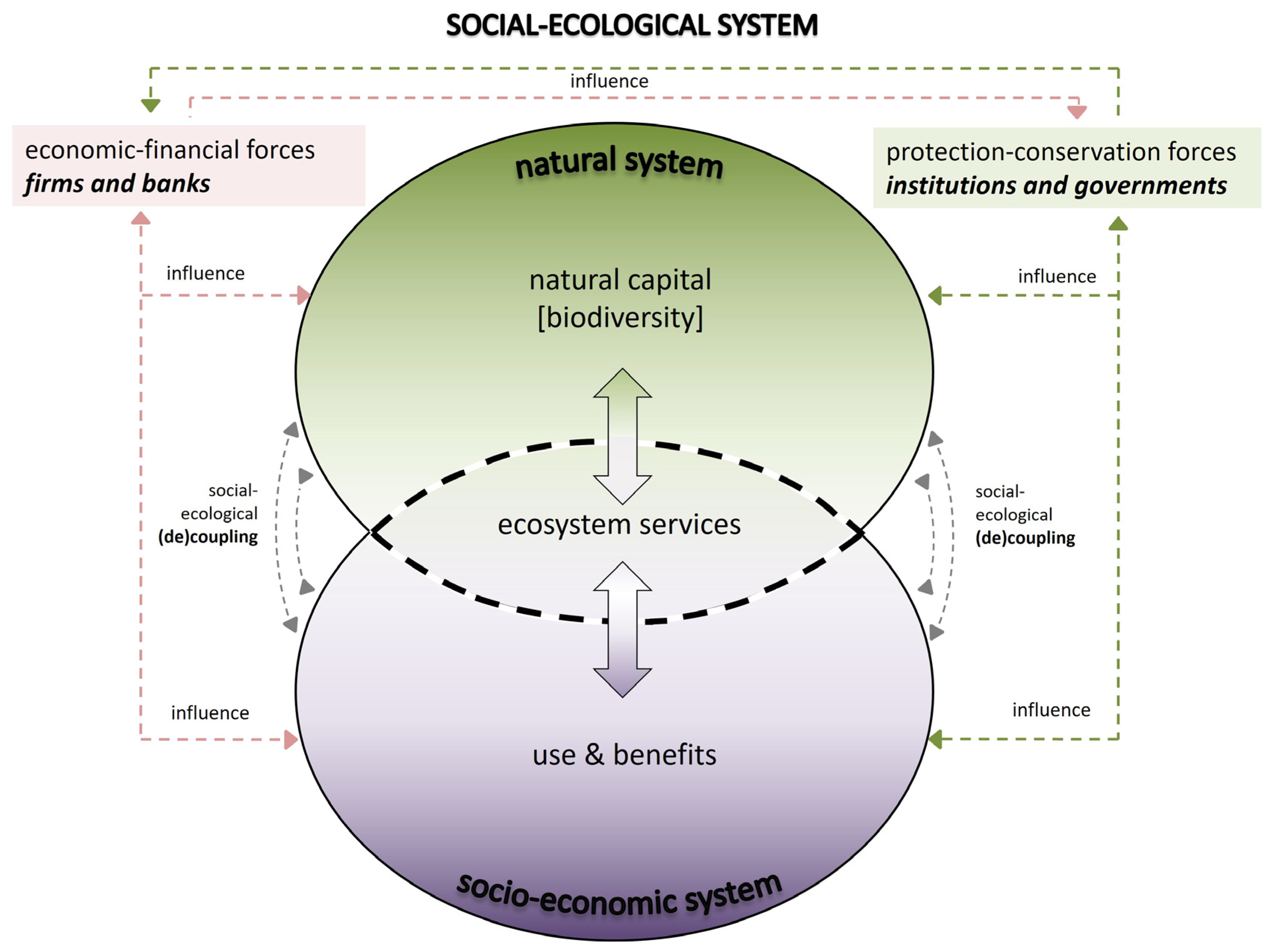 Sustainability 16 01132 g001