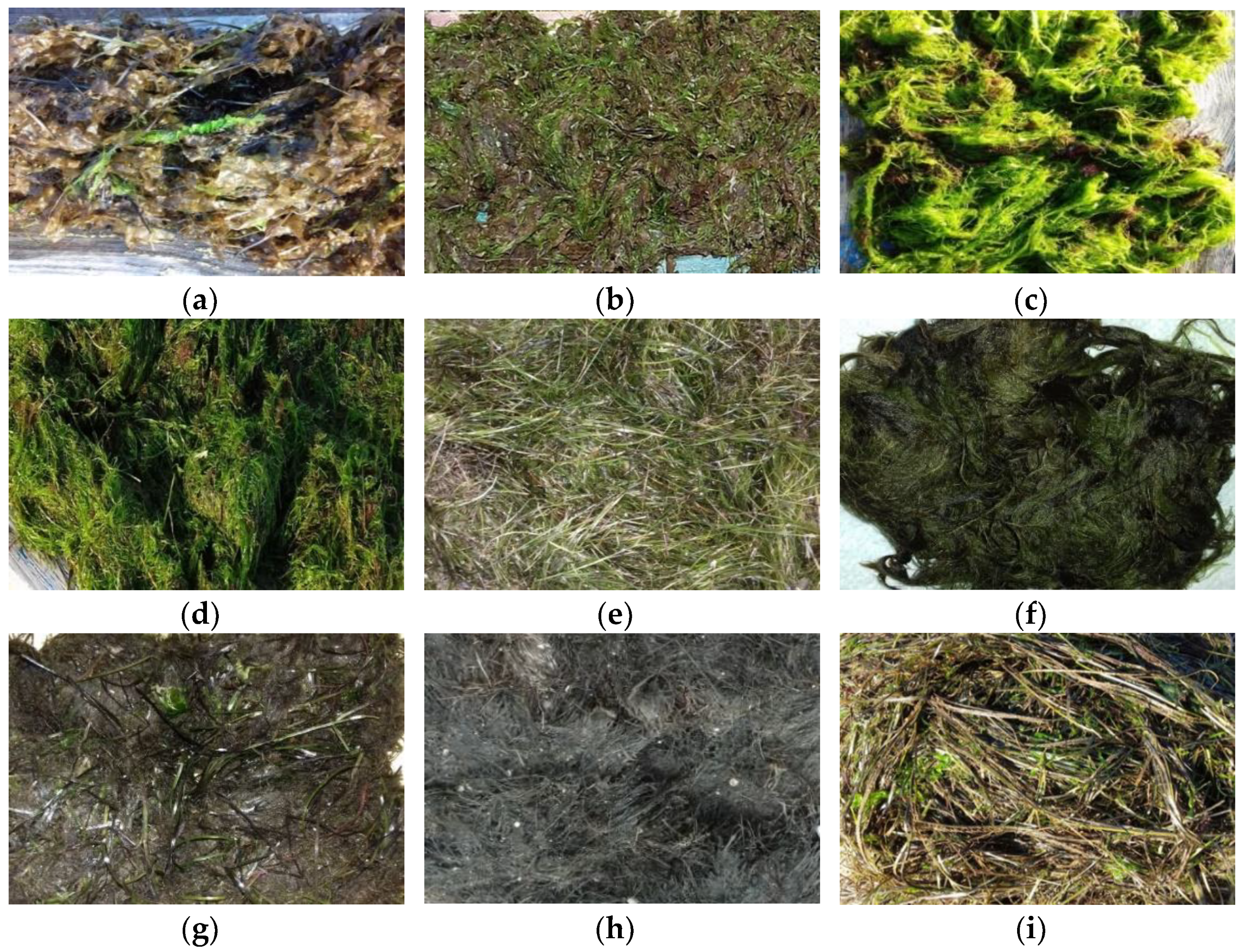 Sustainability 16 01134 g002