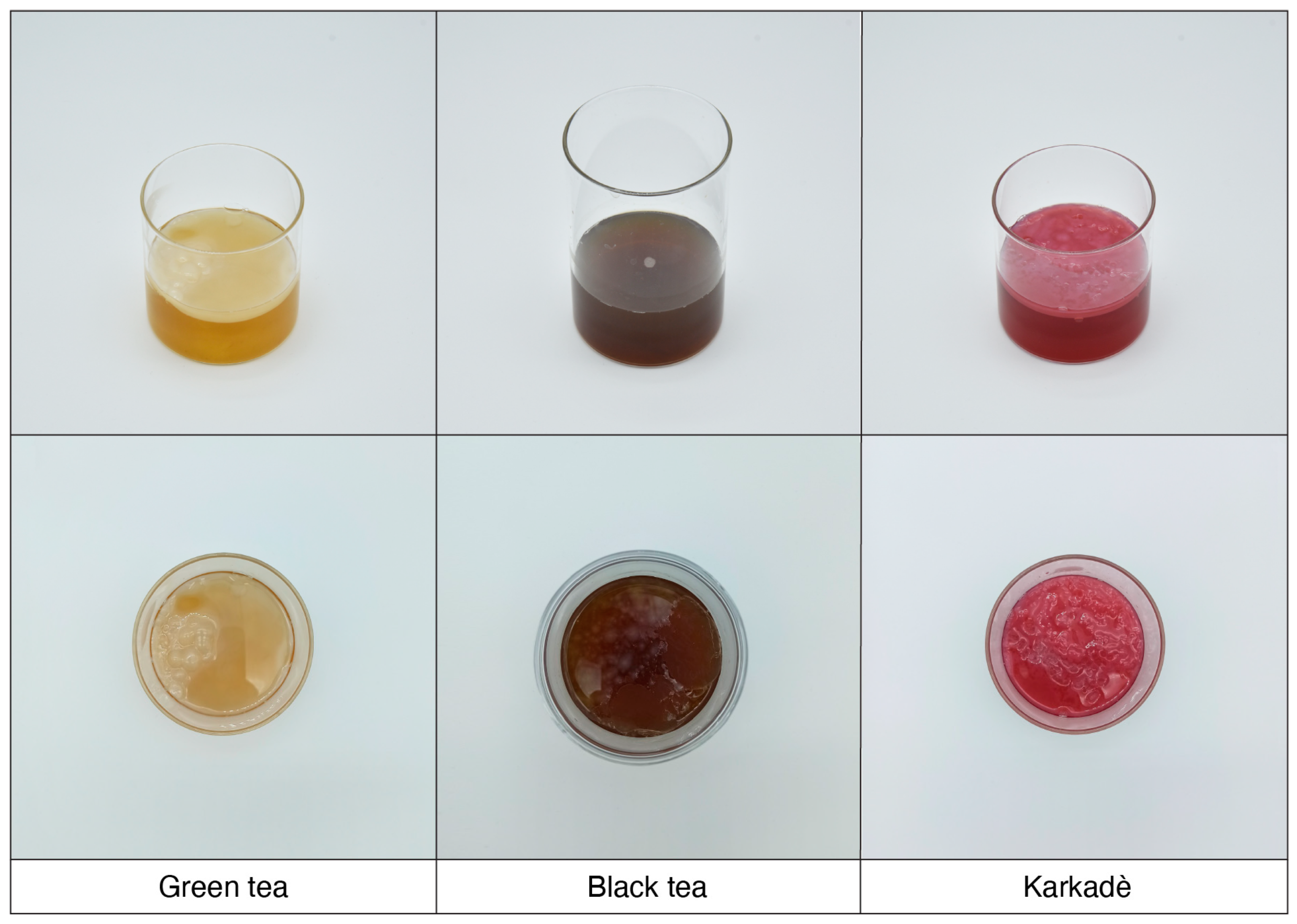 Sustainability 16 01146 g001