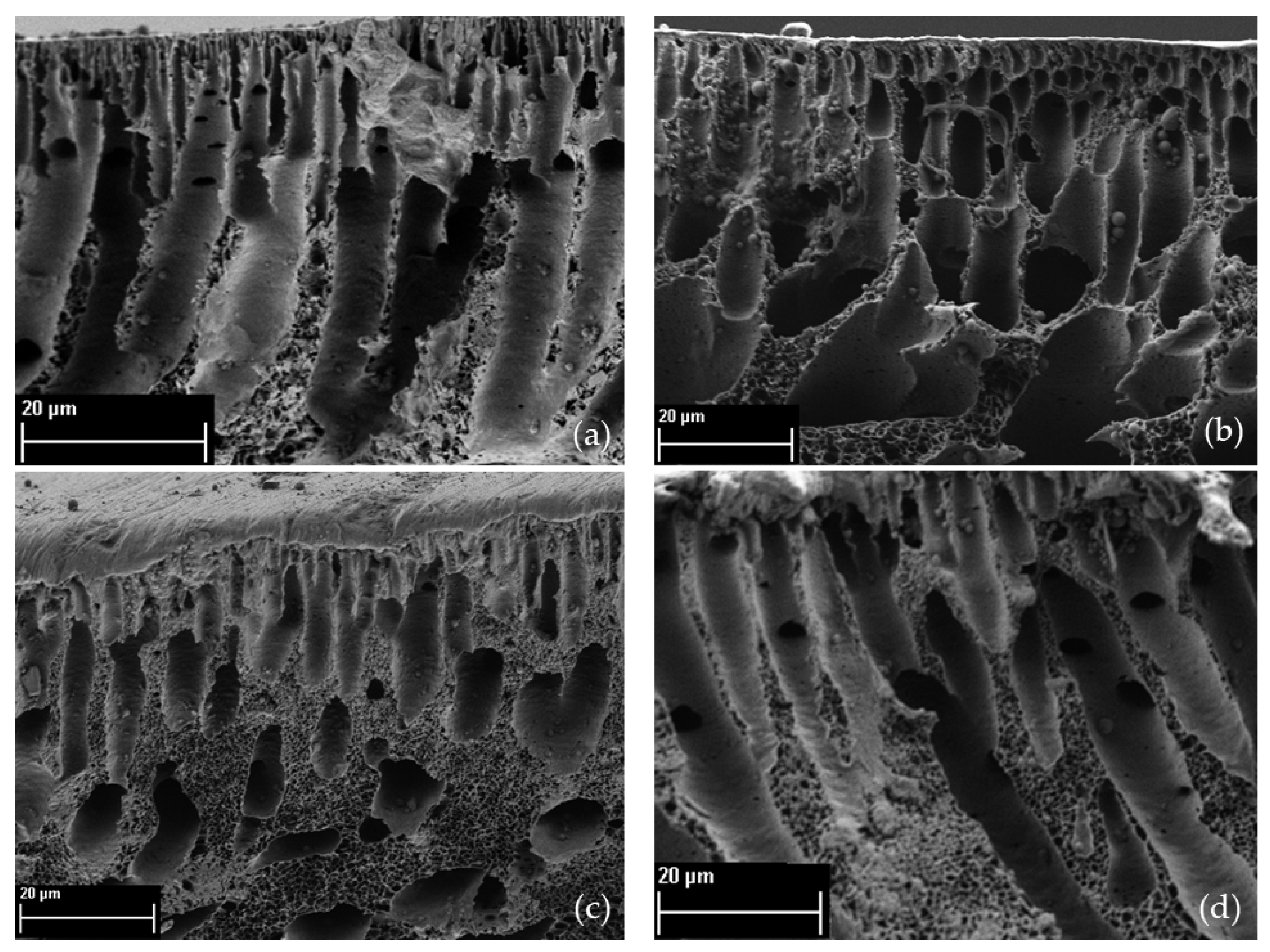 Sustainability 16 01150 g013
