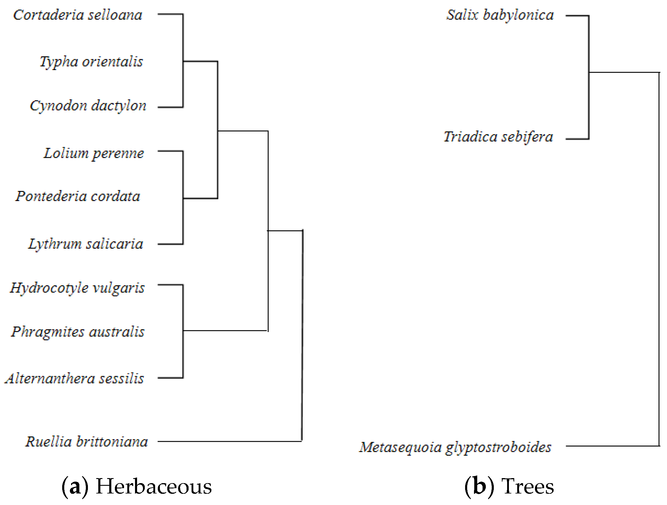 Sustainability 16 01168 g006 Sustainability 16 01168 g006