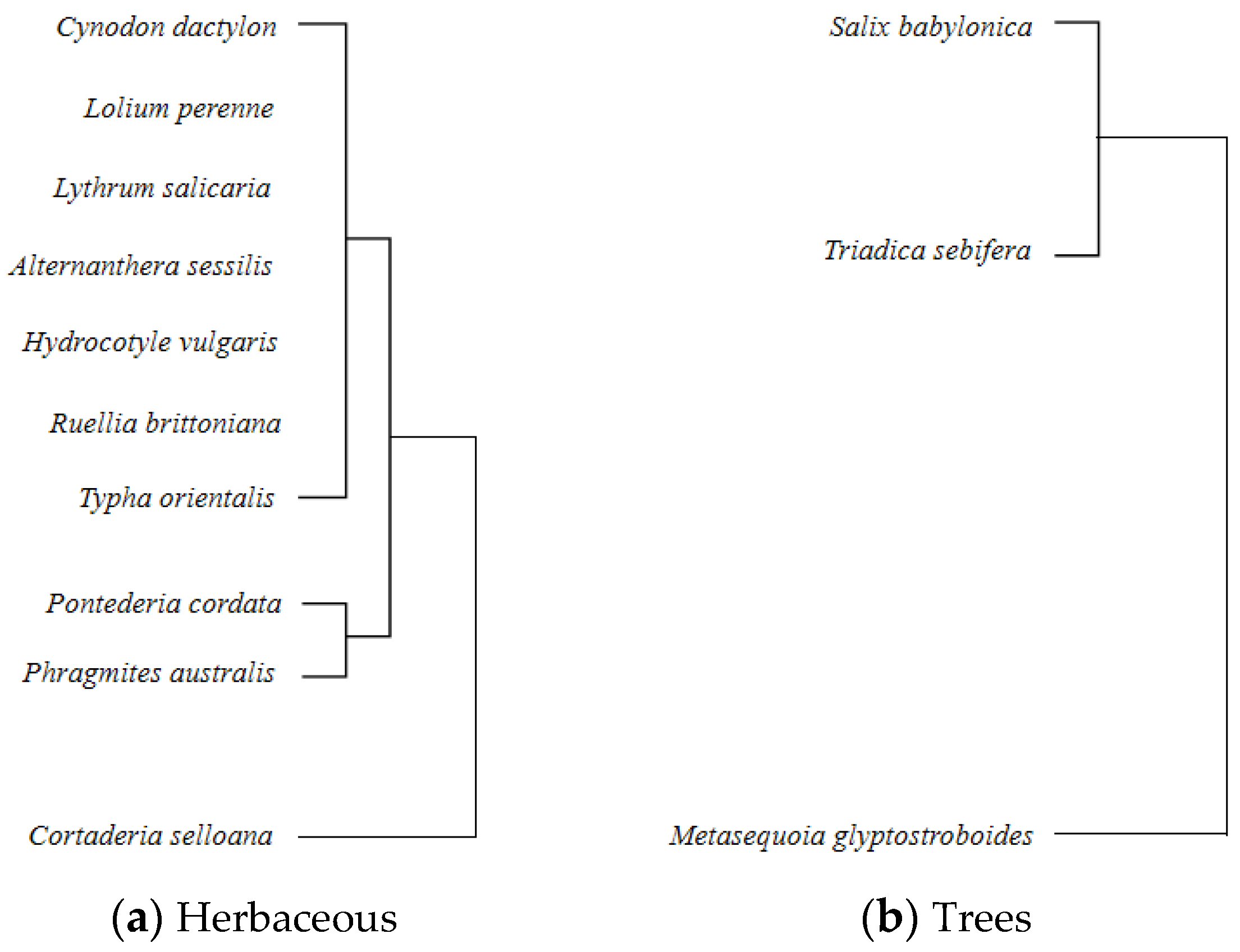 Sustainability 16 01168 g007 Sustainability 16 01168 g007