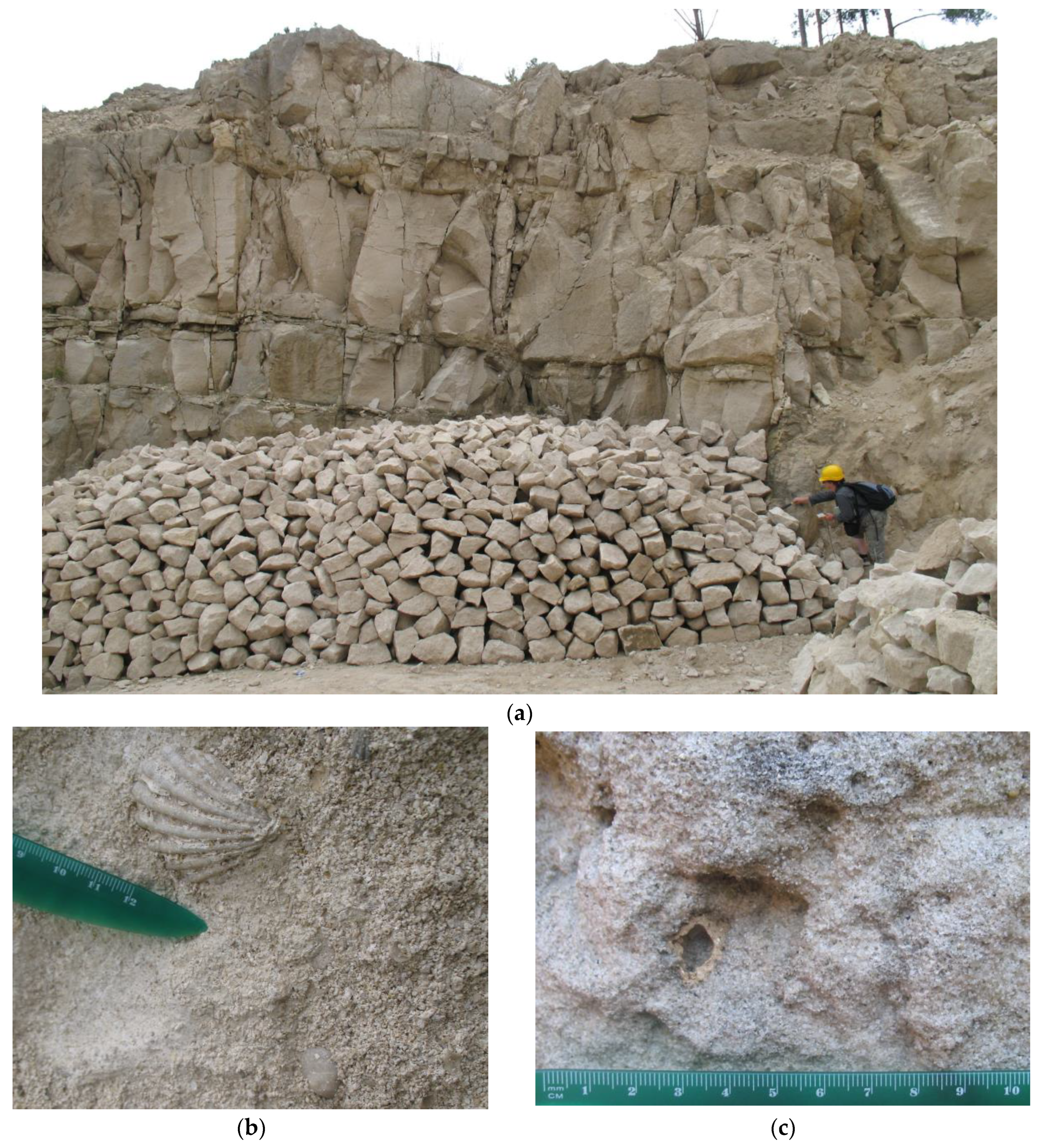 Sustainability 16 01188 g005