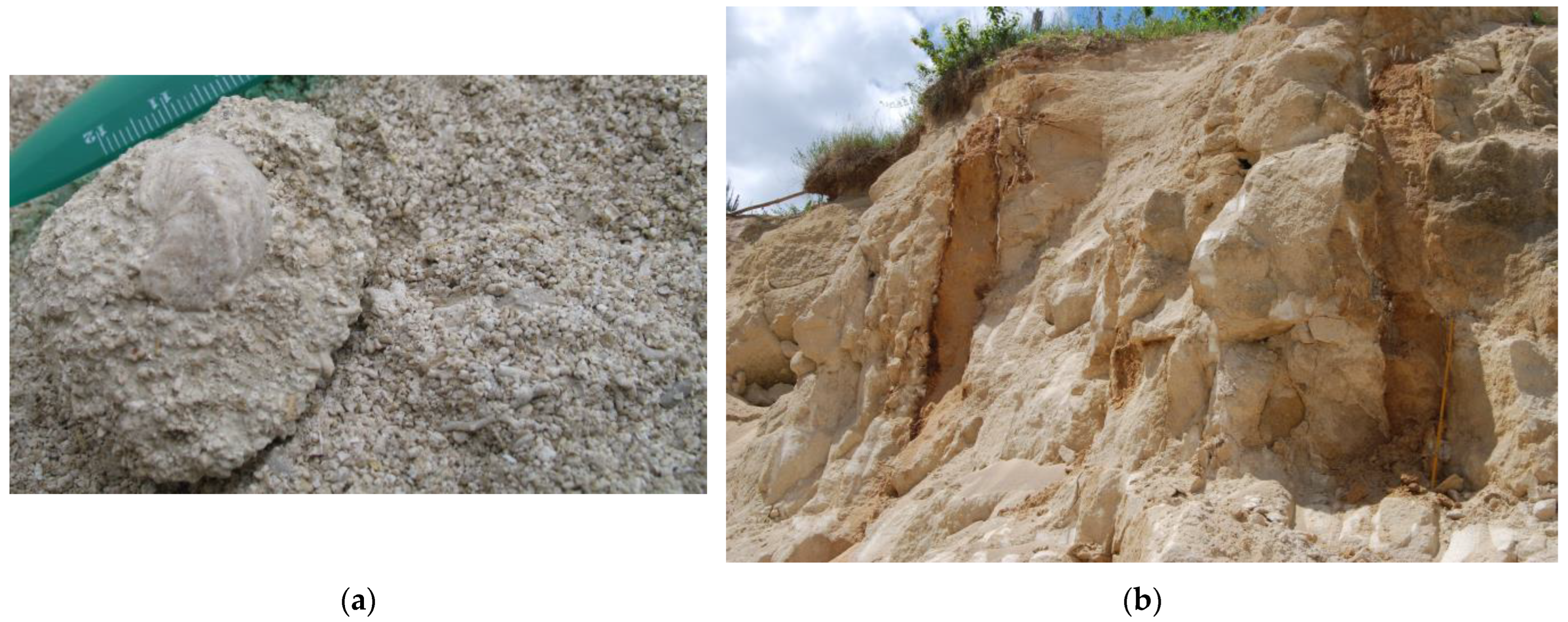 Sustainability 16 01188 g006