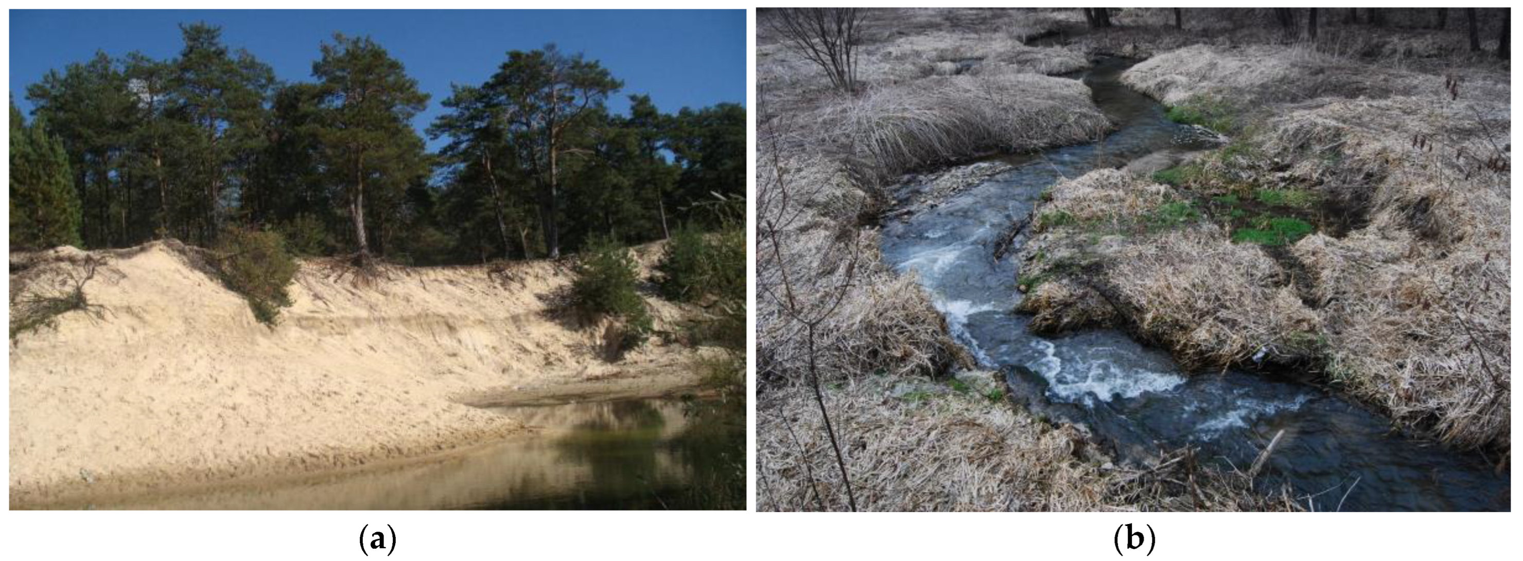 Sustainability 16 01188 g007