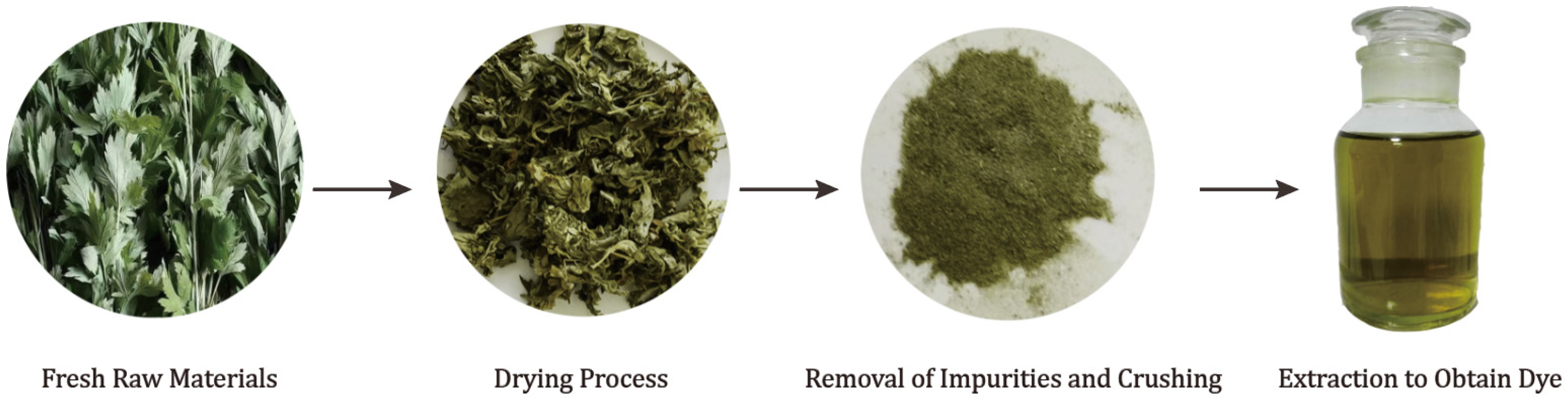 Sustainability 16 01189 g002