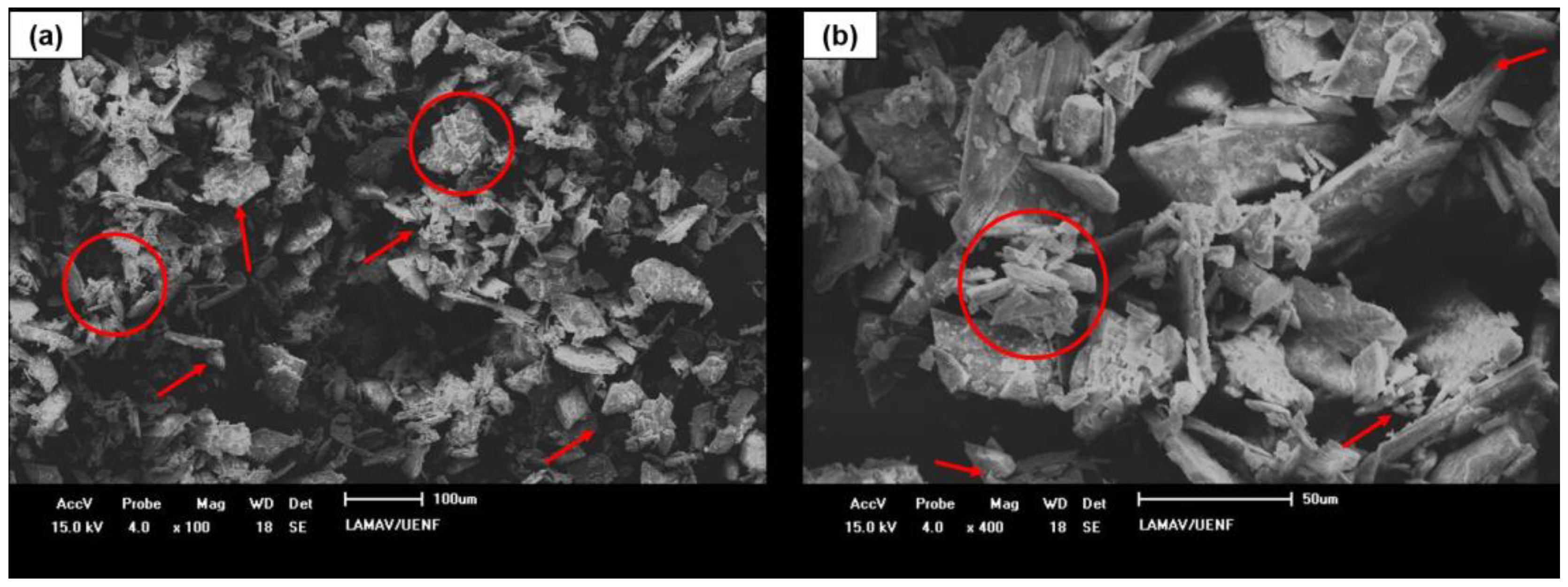 Sustainability 16 01193 g005