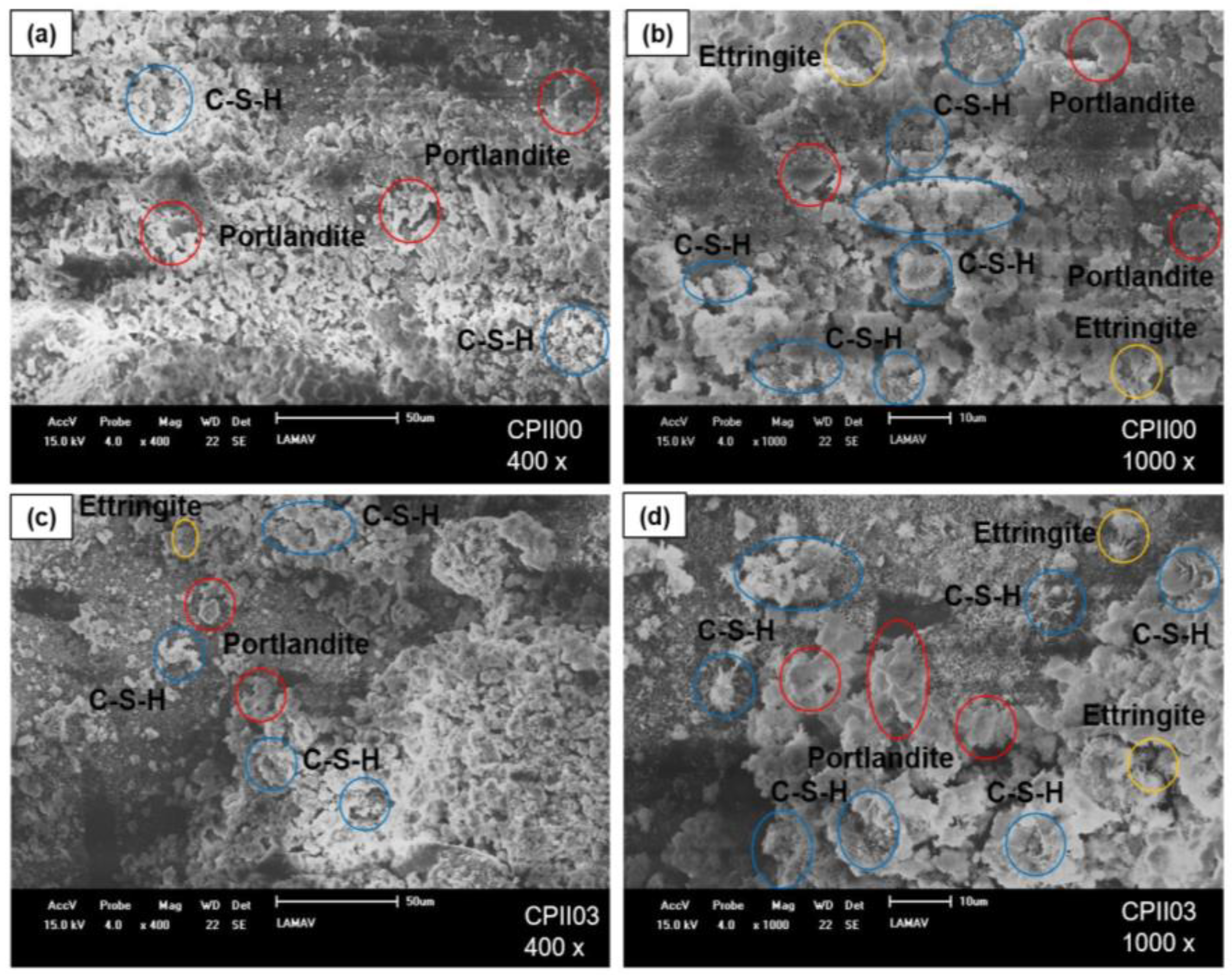 Sustainability 16 01193 g017