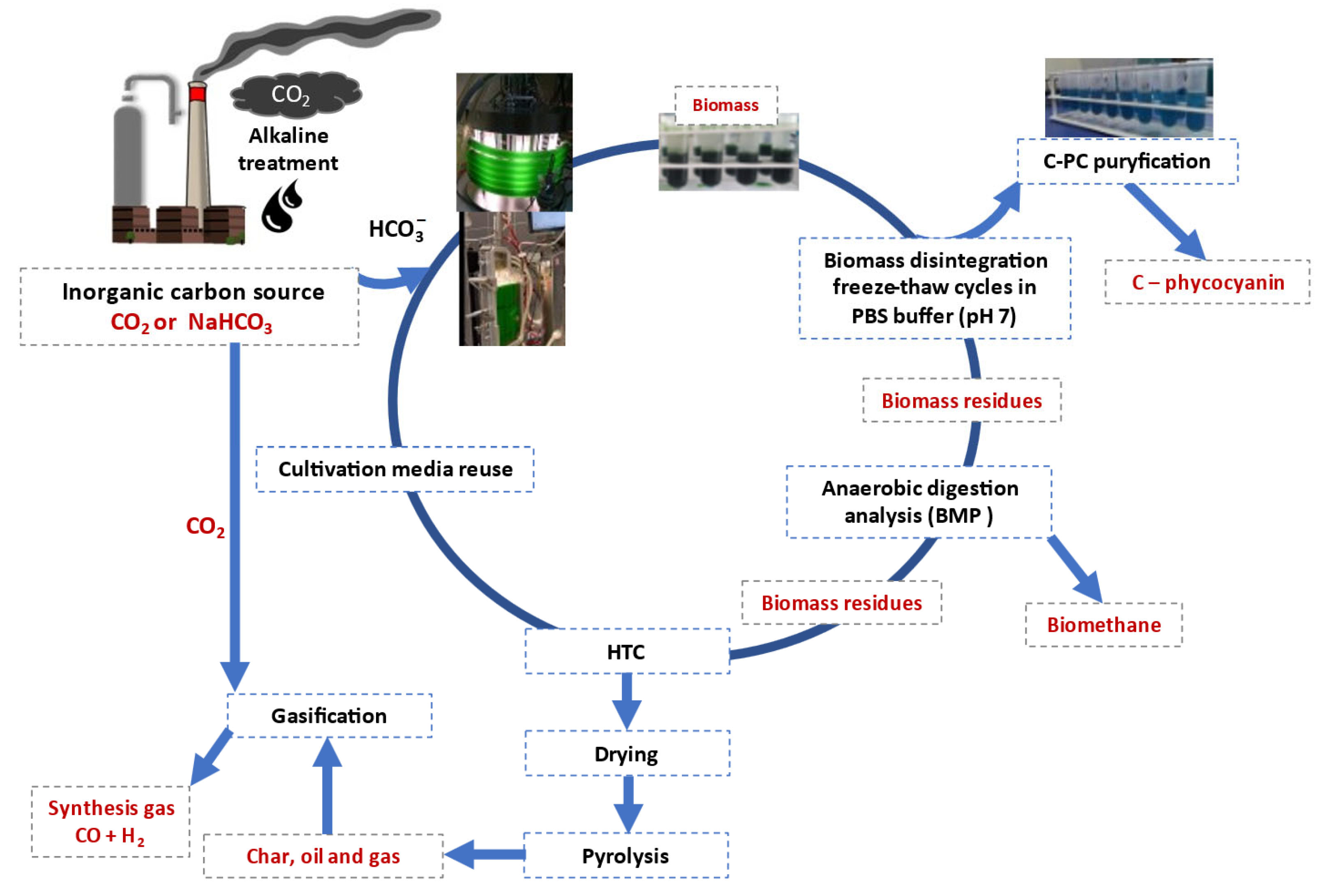 Sustainability 16 01201 g007