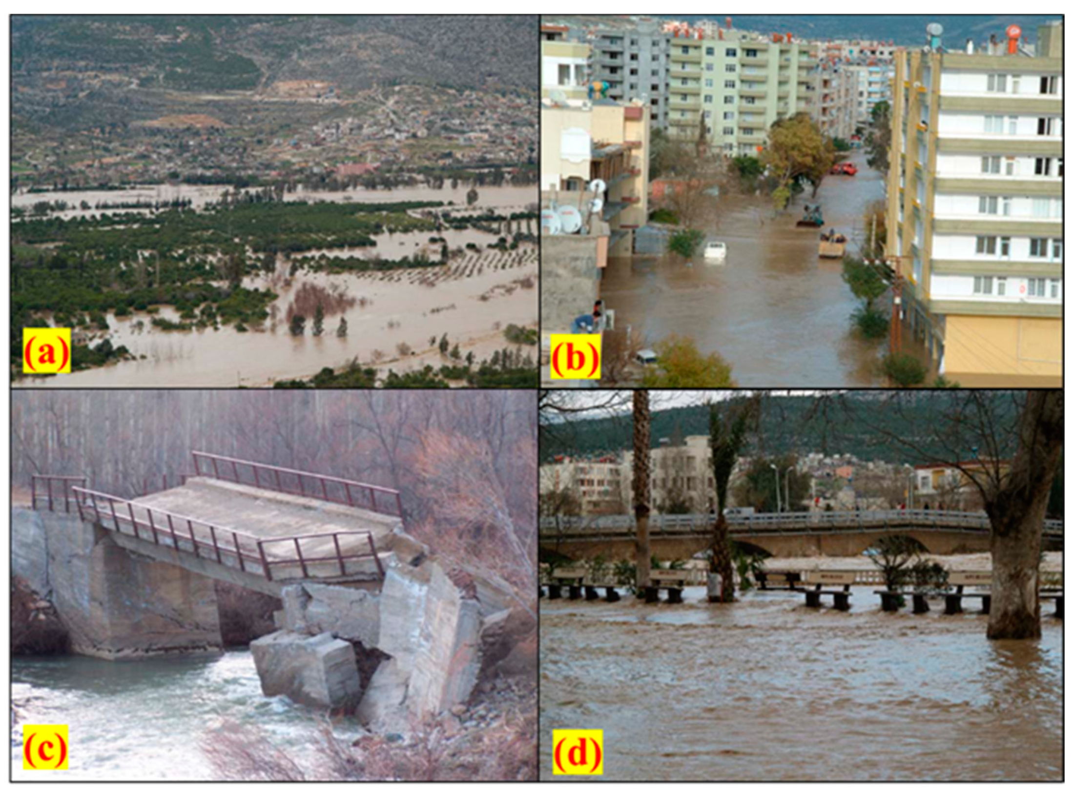 Sustainability 16 01226 g002 Sustainability 16 01226 g002