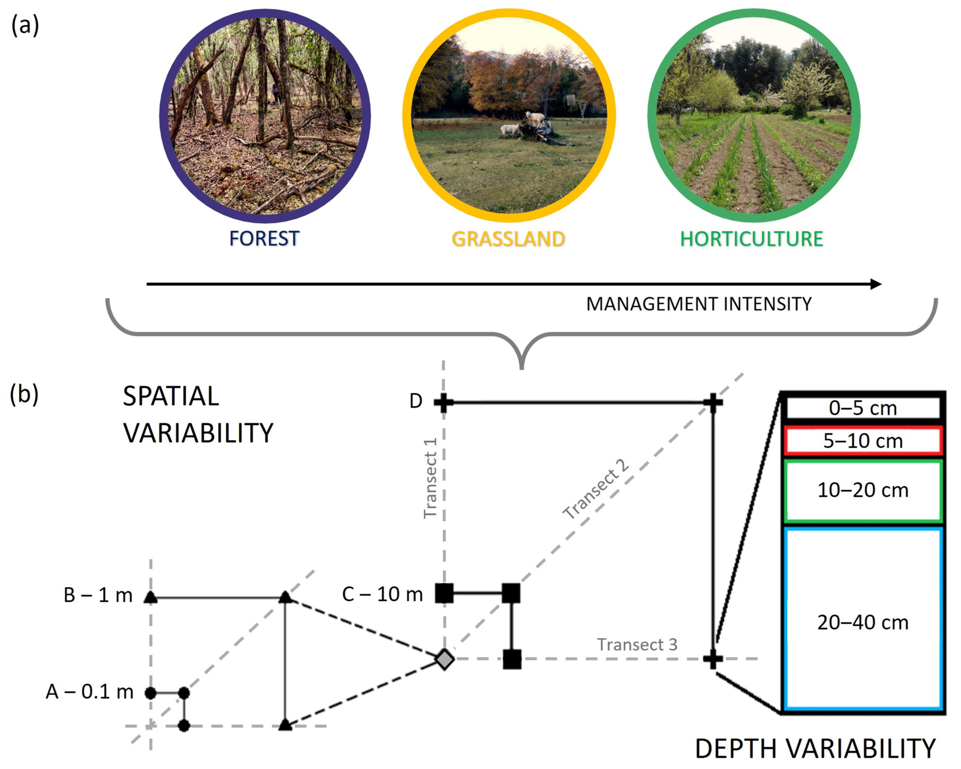 Sustainability 16 01236 g002