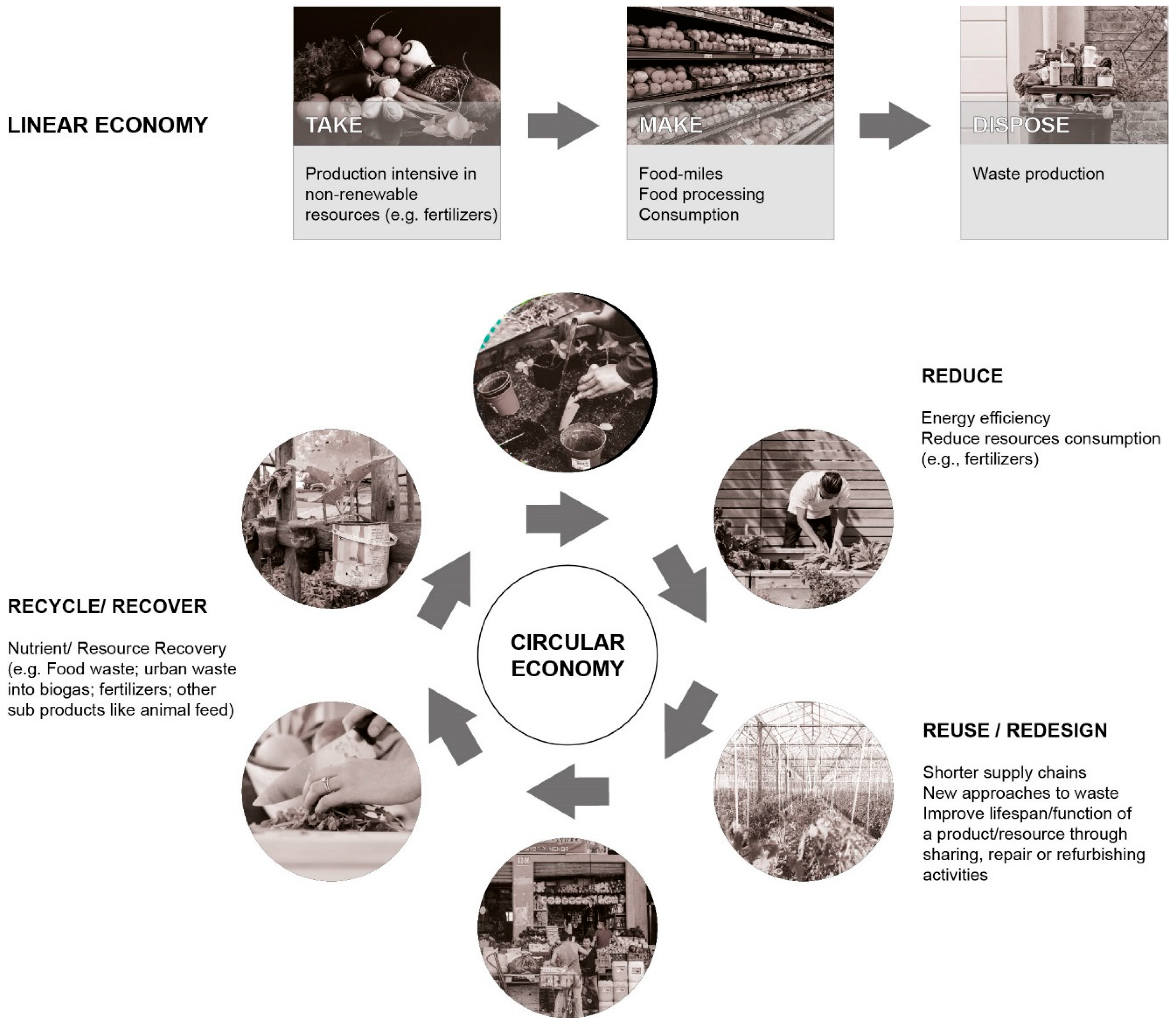 Sustainability 16 01258 g001