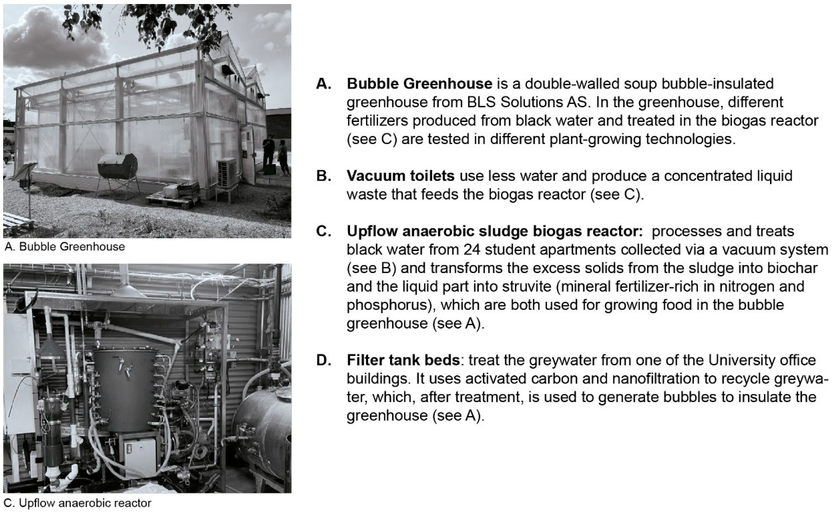 Sustainability 16 01258 g003