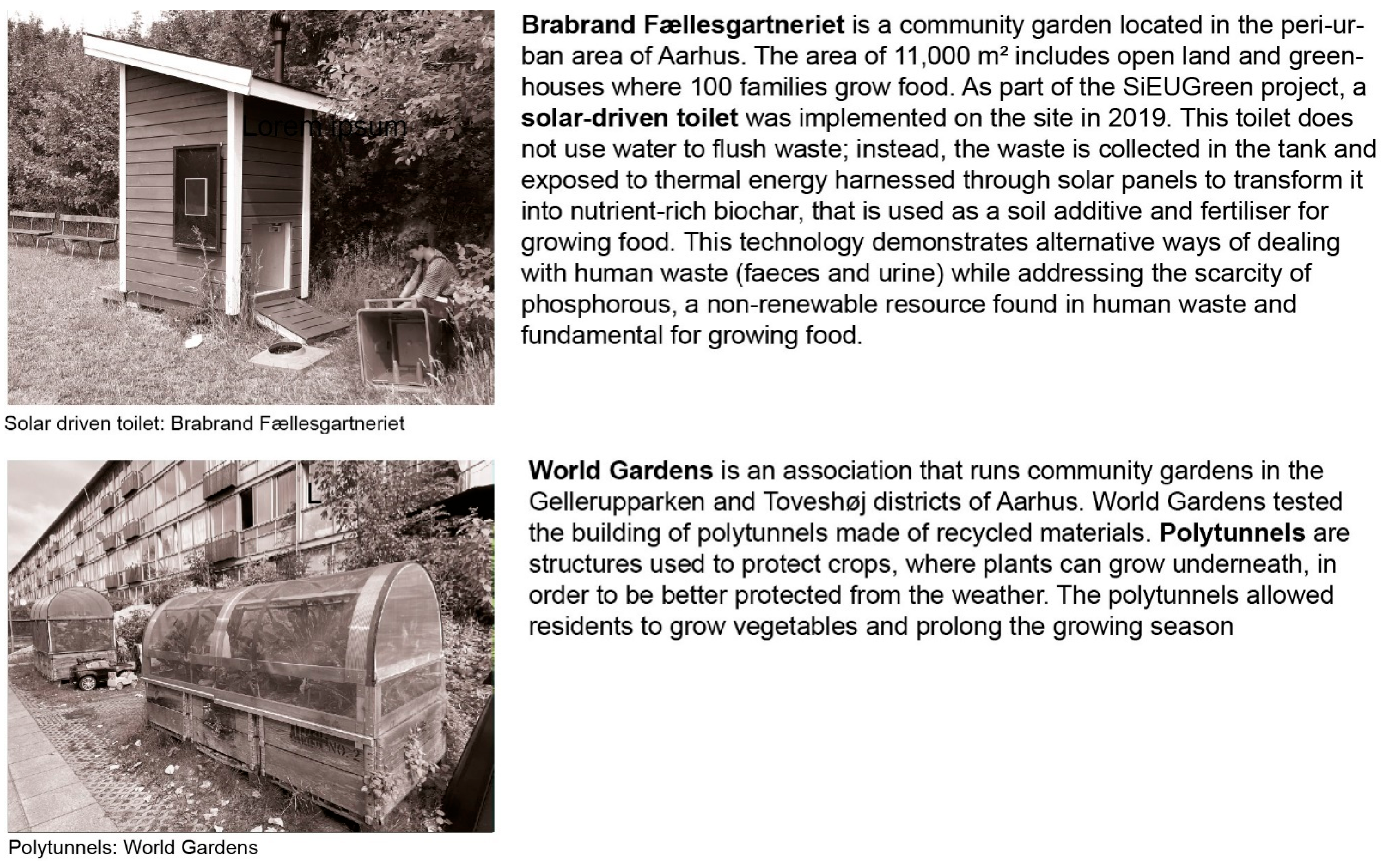 Sustainability 16 01258 g005