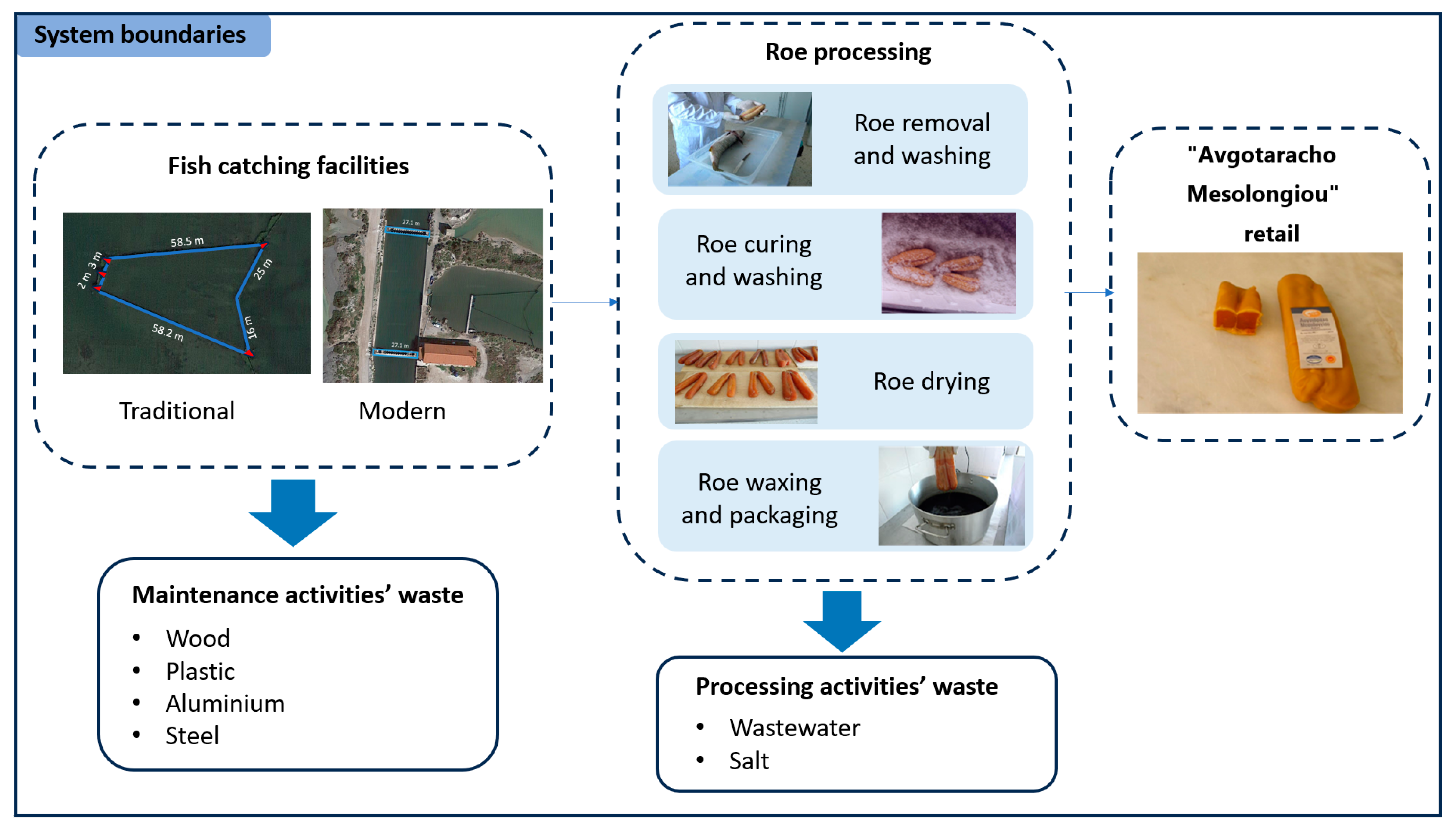 Sustainability 16 01259 g001