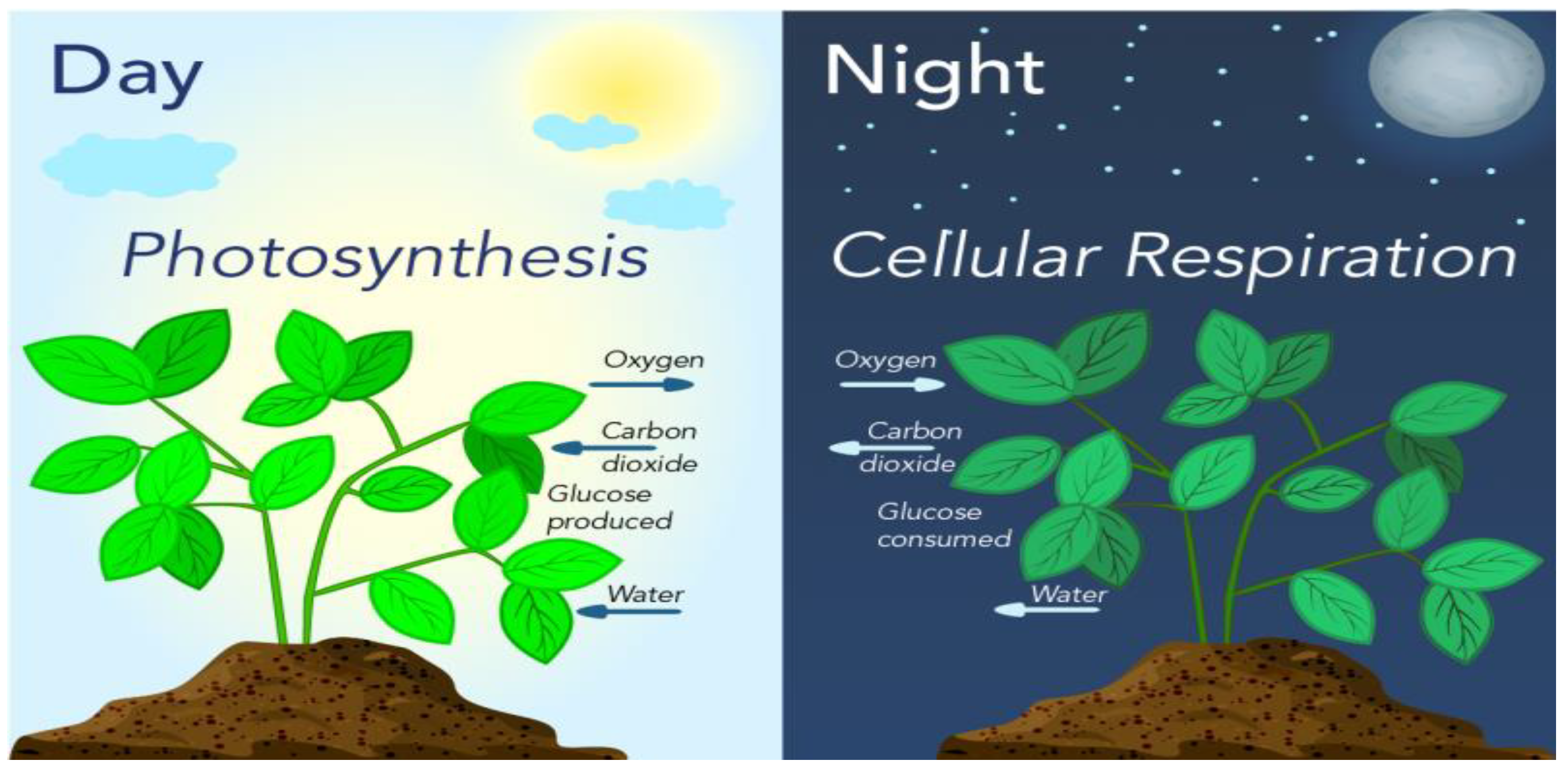 Sustainability 16 01273 g006 Sustainability 16 01273 g006