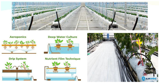 Assessing the Physical and Environmental Aspects of Greenhouse