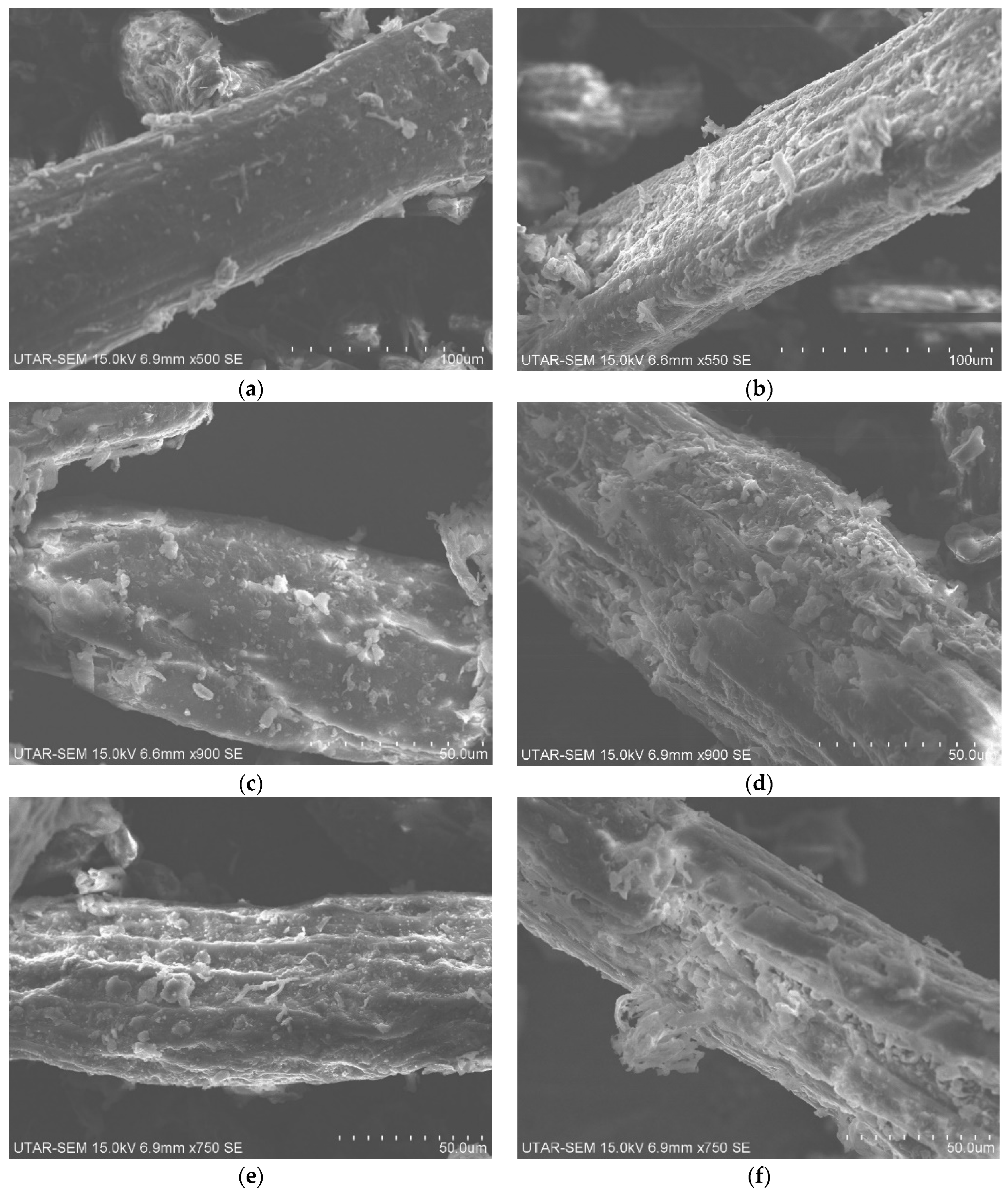 Sustainability 16 01275 g003