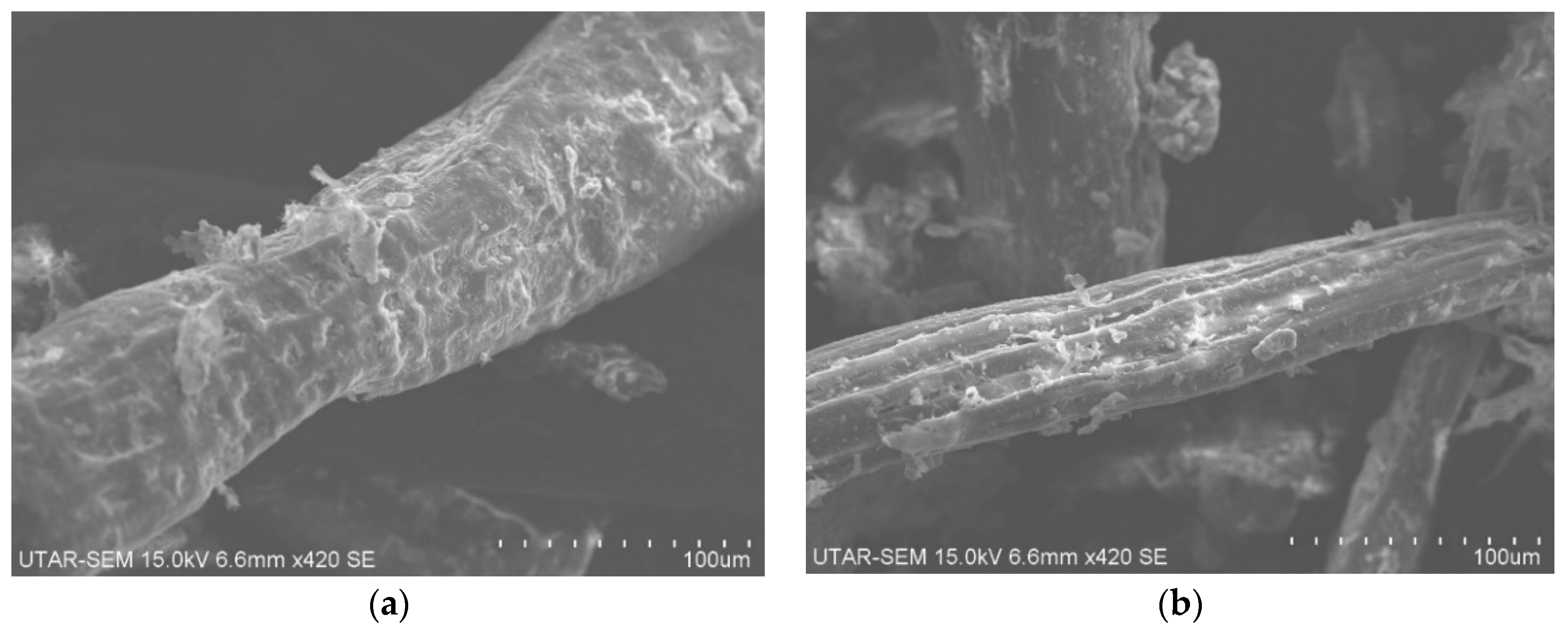 Sustainability 16 01275 g004