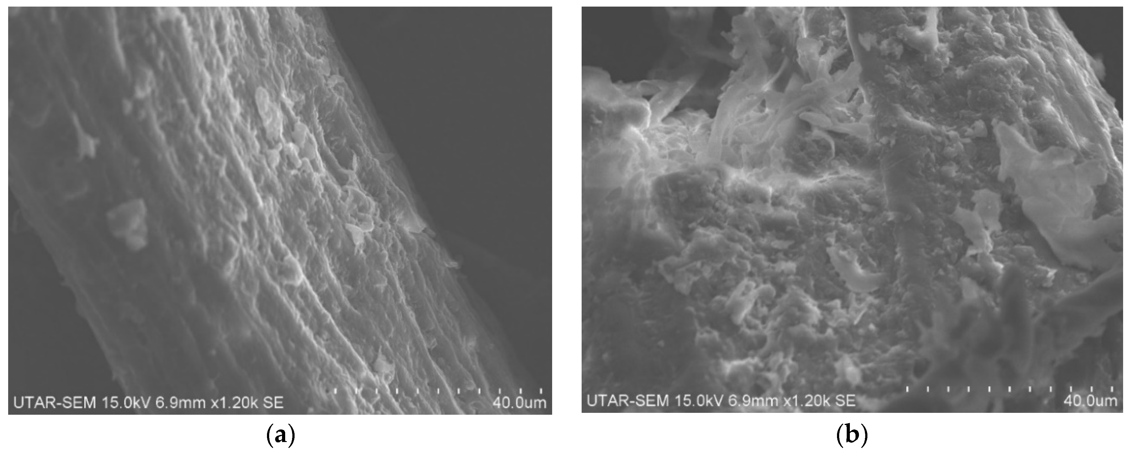 Sustainability 16 01275 g005