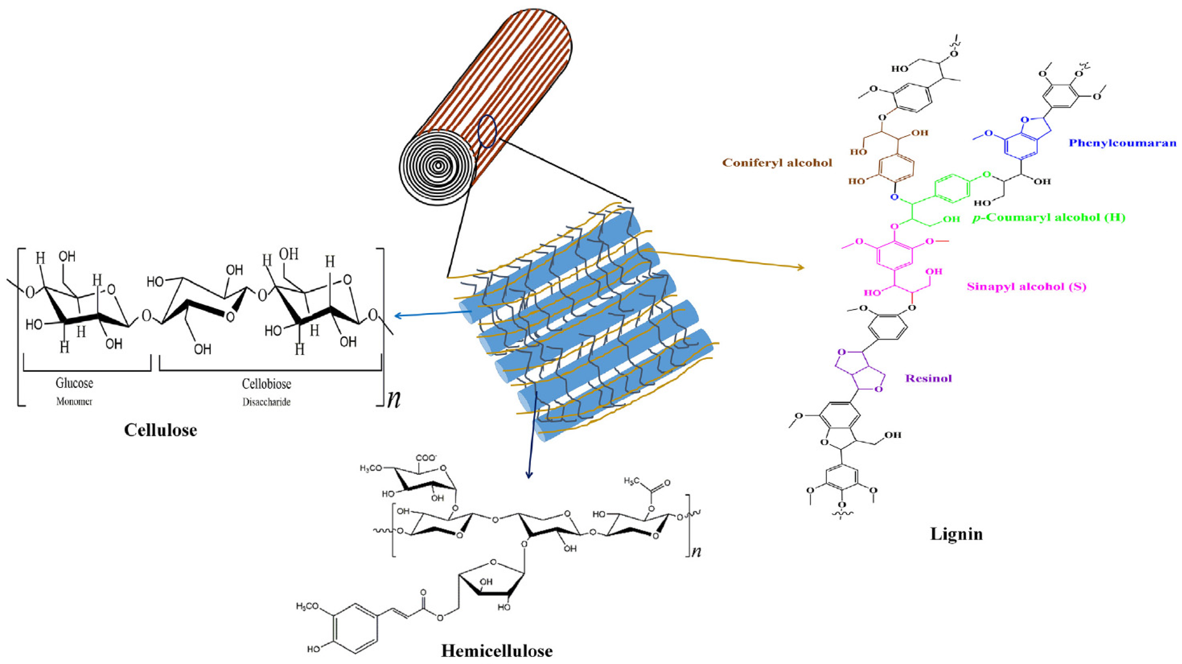 Sustainability 16 01275 g006