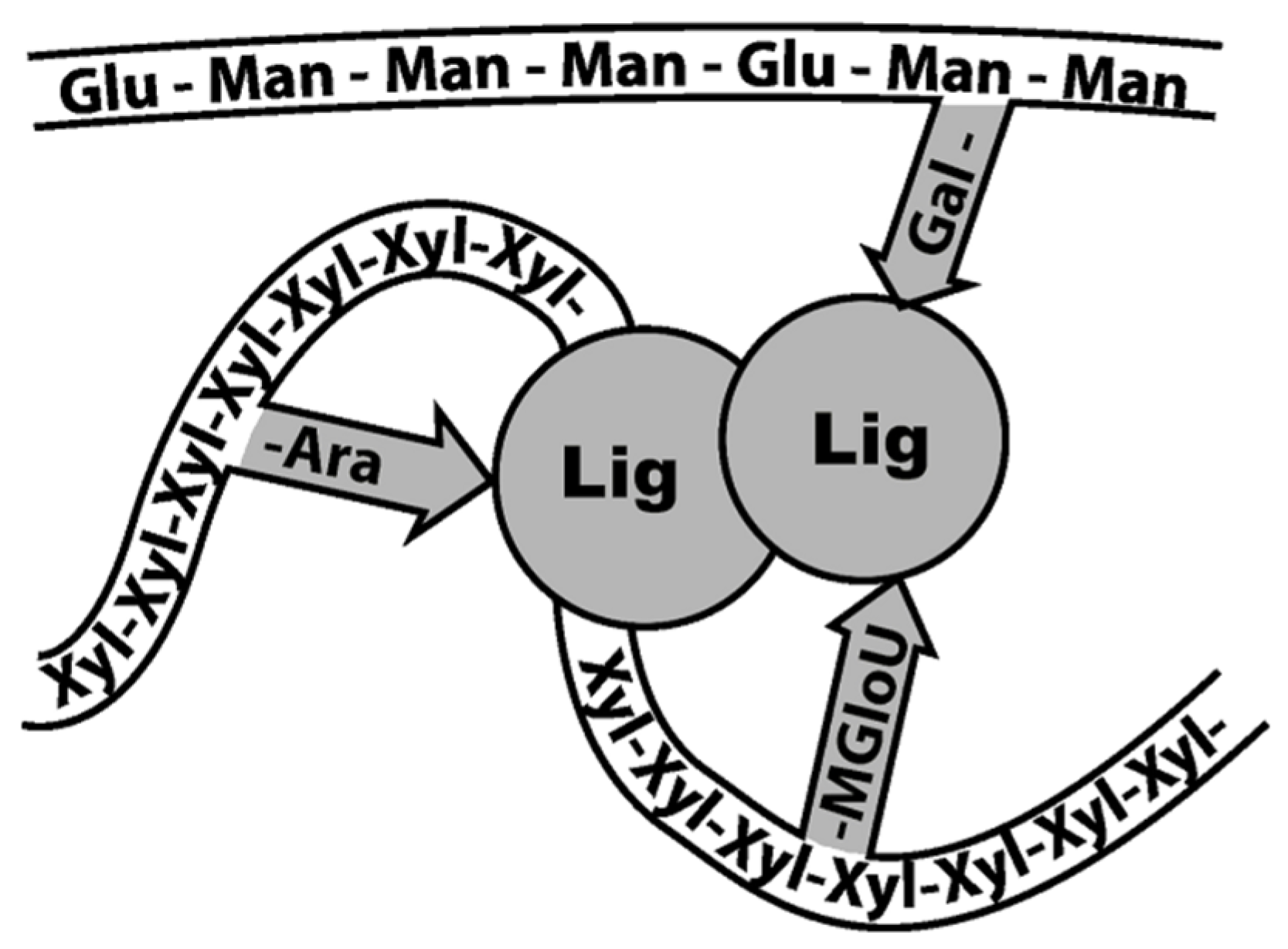 Sustainability 16 01275 g007