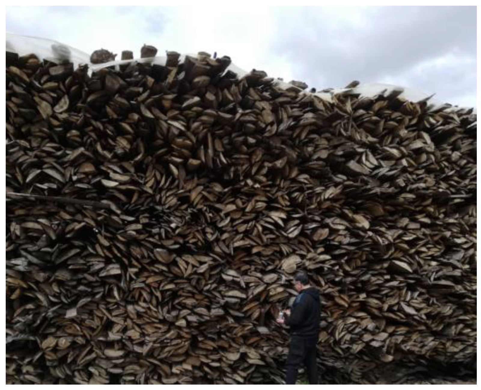 Sustainability 16 01302 g002