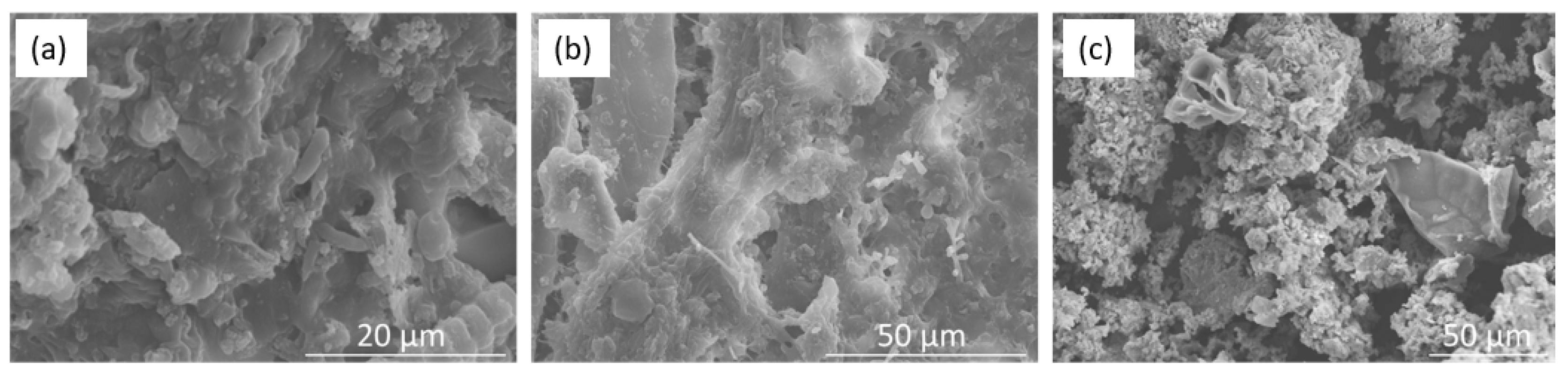 Sustainability 16 01355 g002