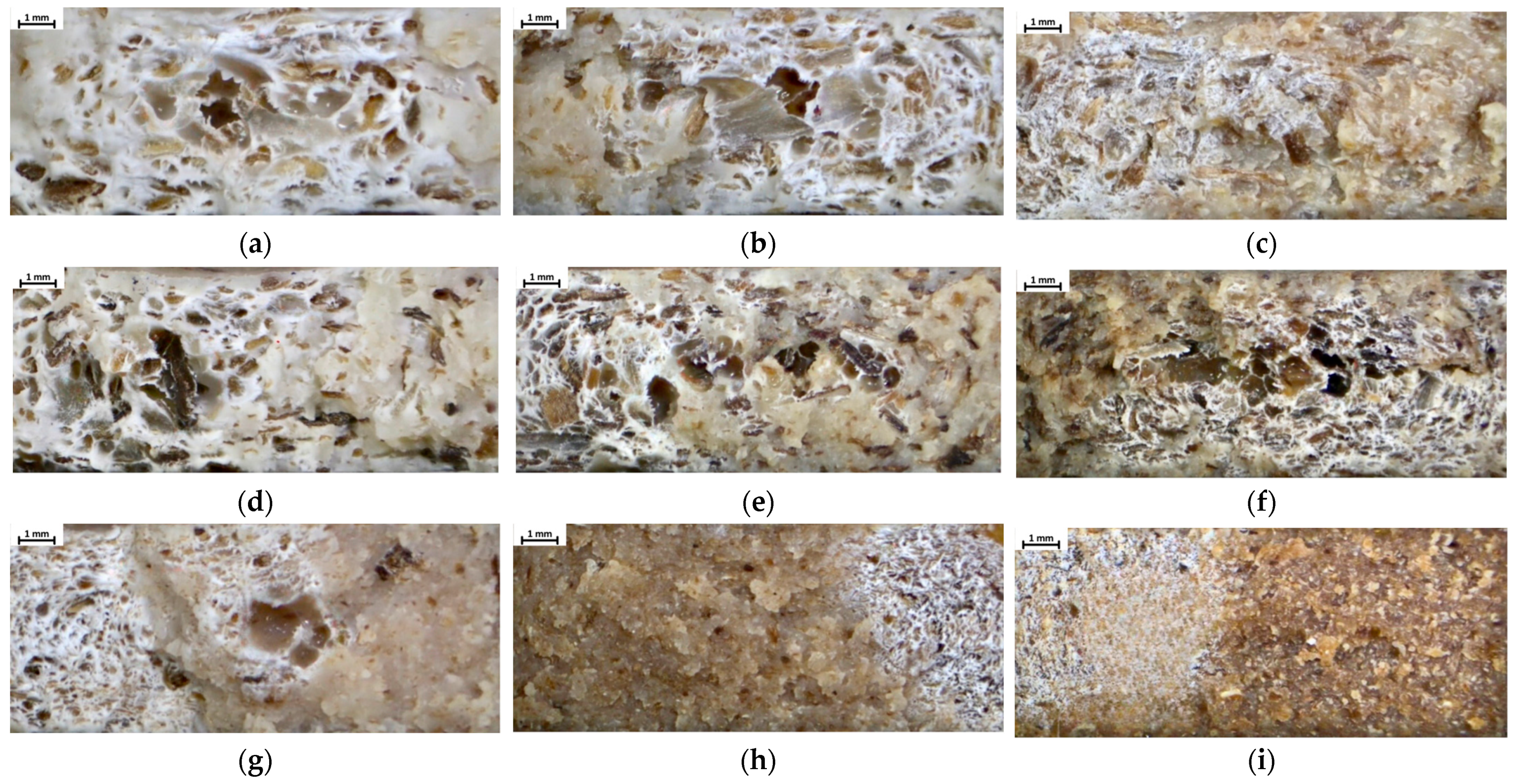 Sustainability 16 01370 g009 Sustainability 16 01370 g009