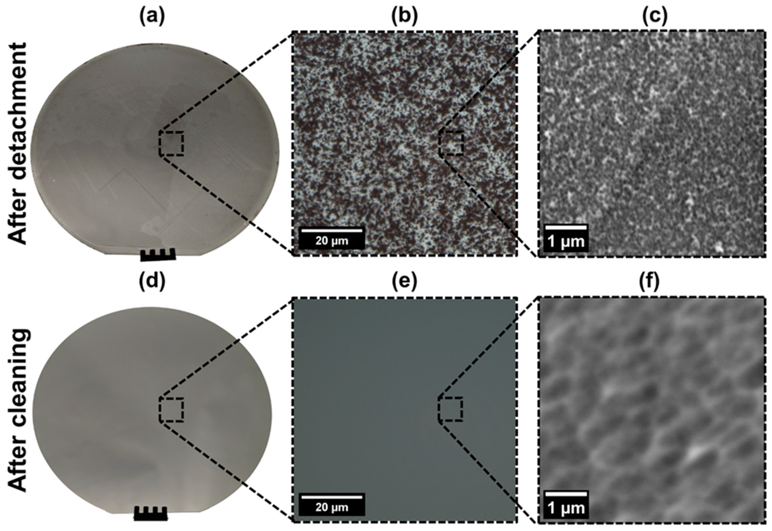 Sustainability 16 01444 g005