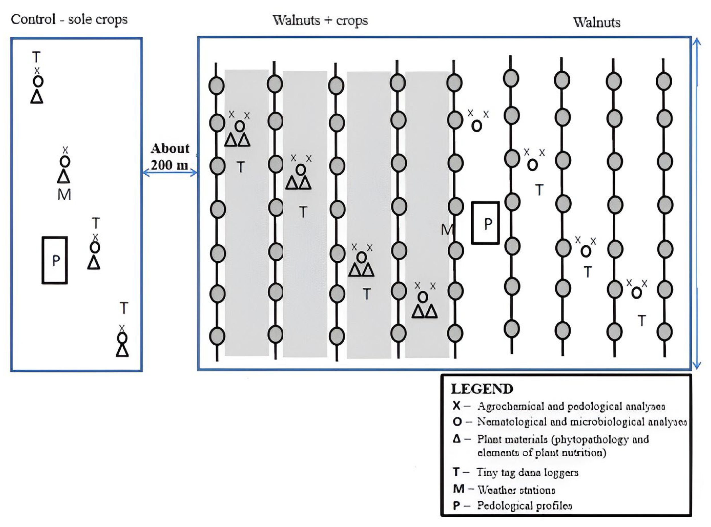 Sustainability 16 01448 sch001