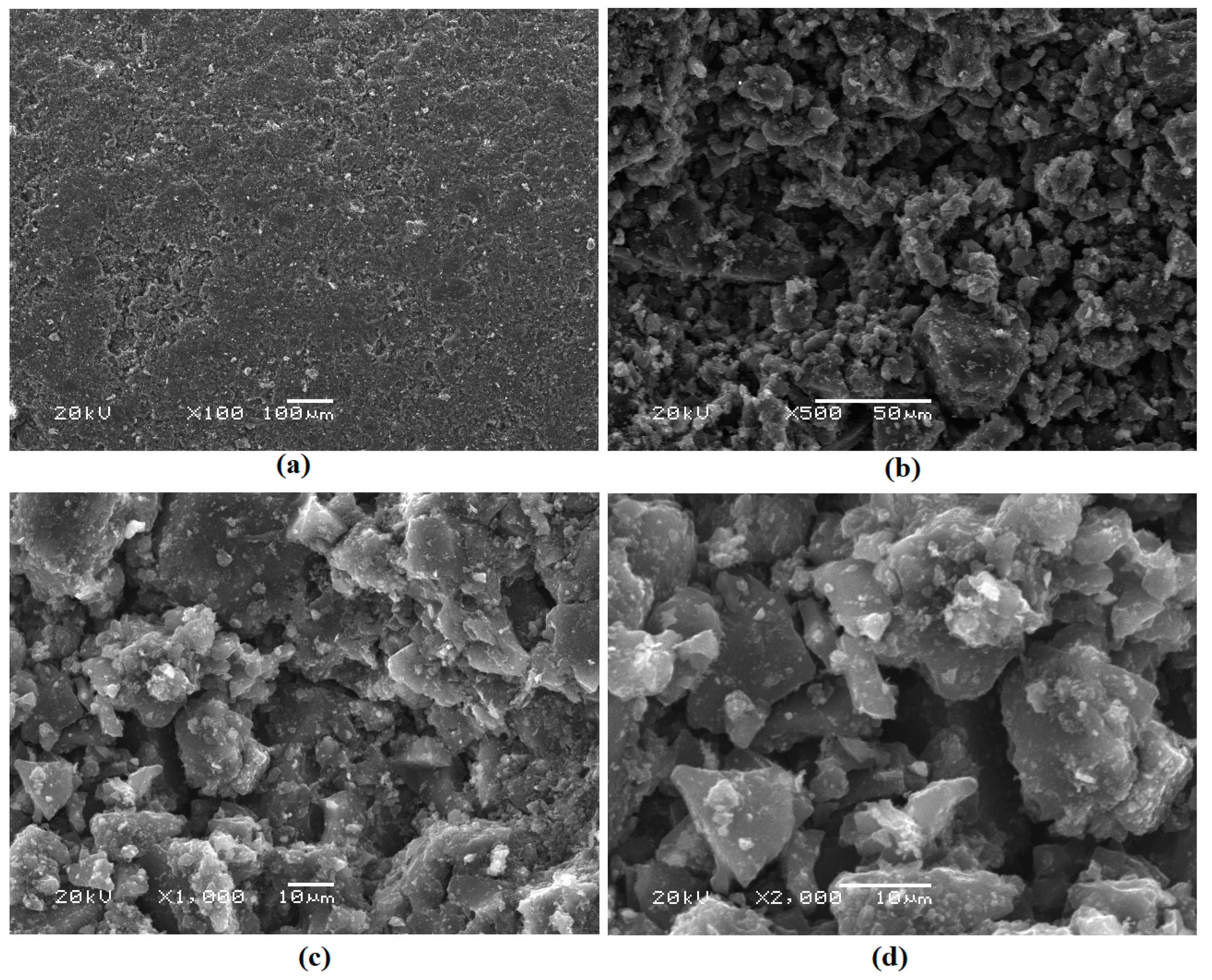 Sustainability 16 01479 g003