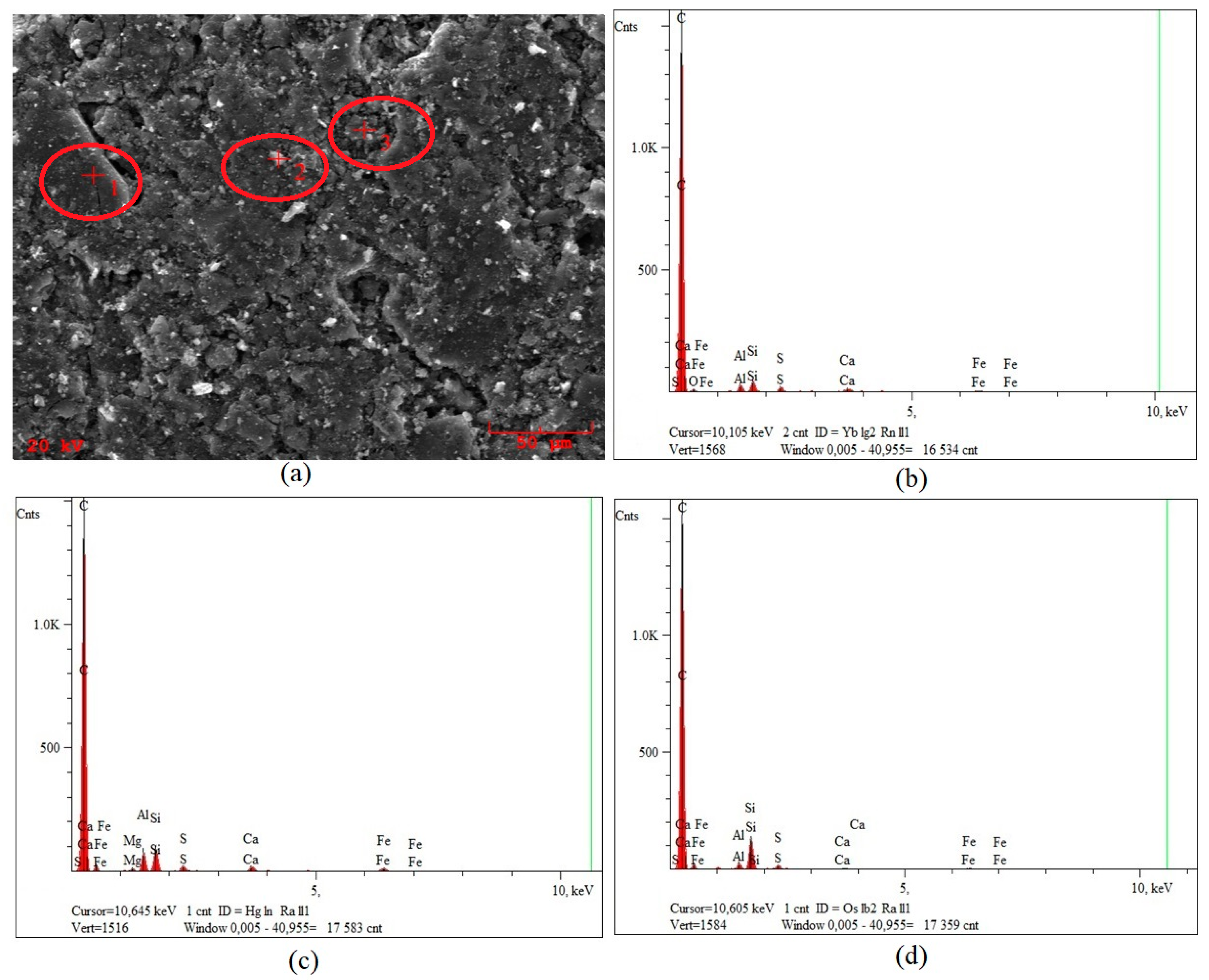 Sustainability 16 01479 g004