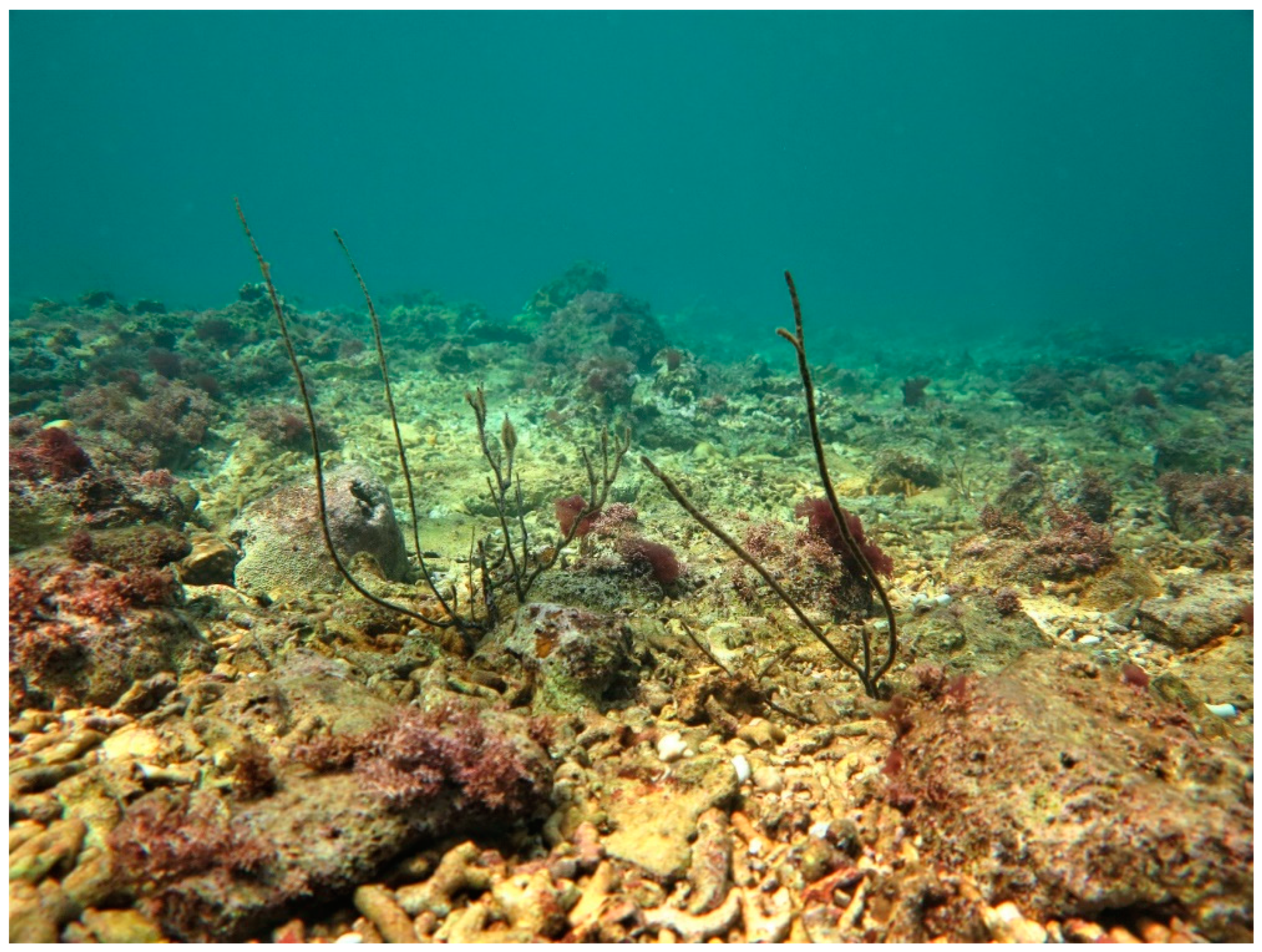 Sustainability 16 01506 g0a13