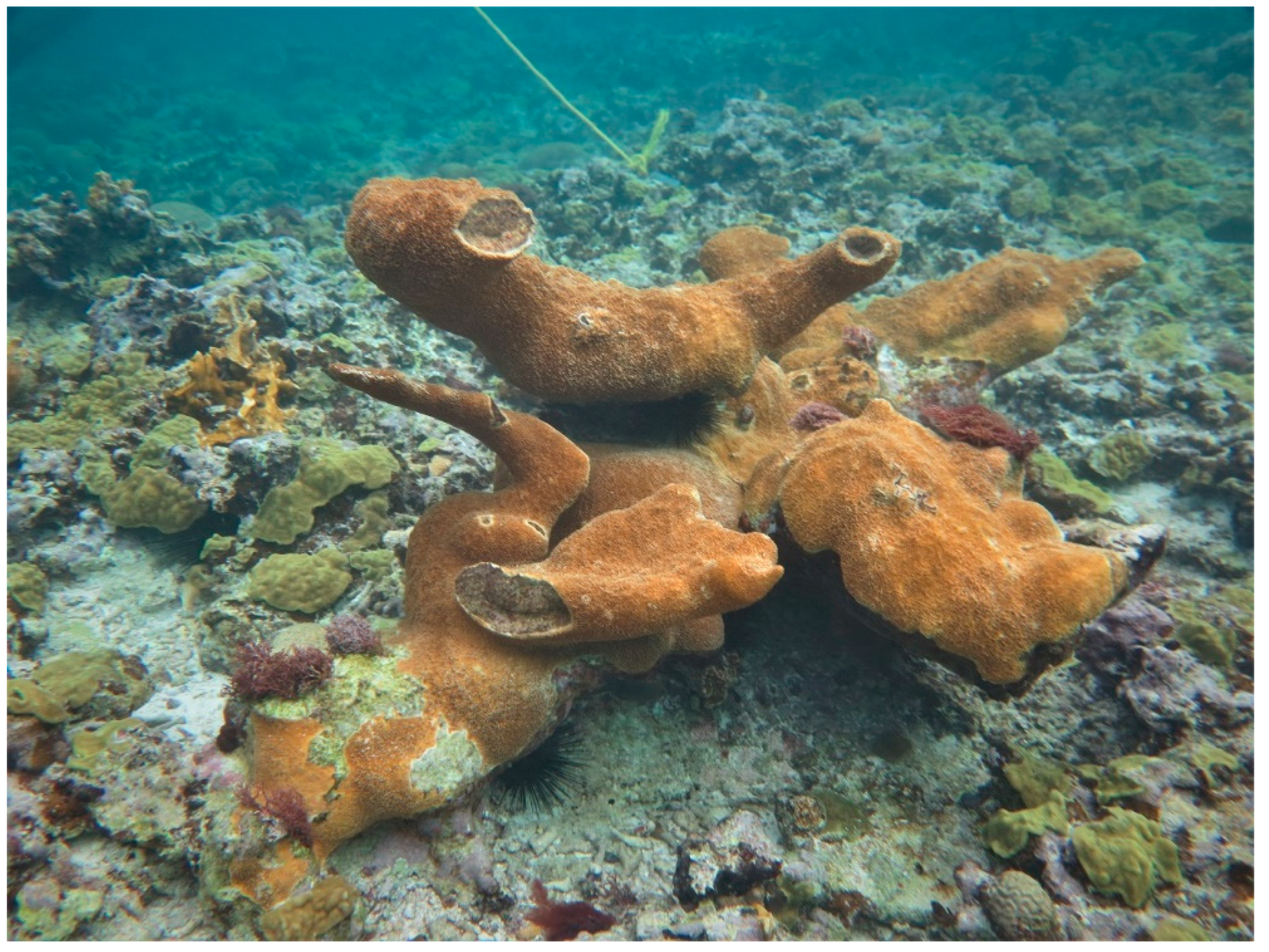 Sustainability 16 01506 g0a14