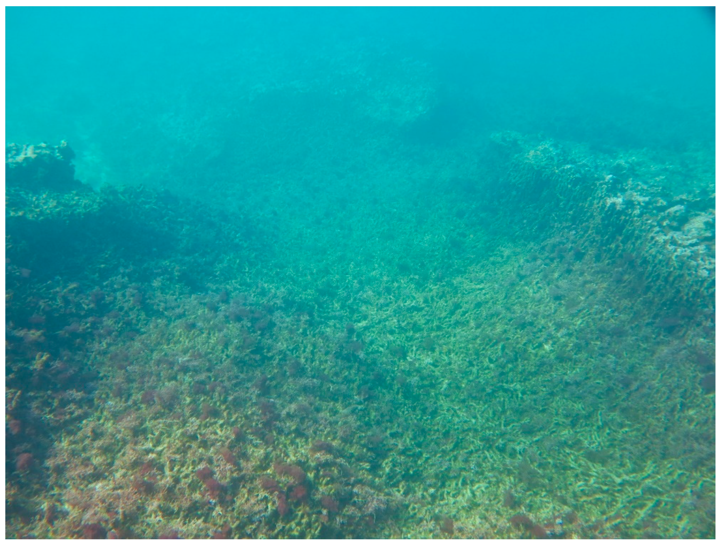 Sustainability 16 01506 g0a16