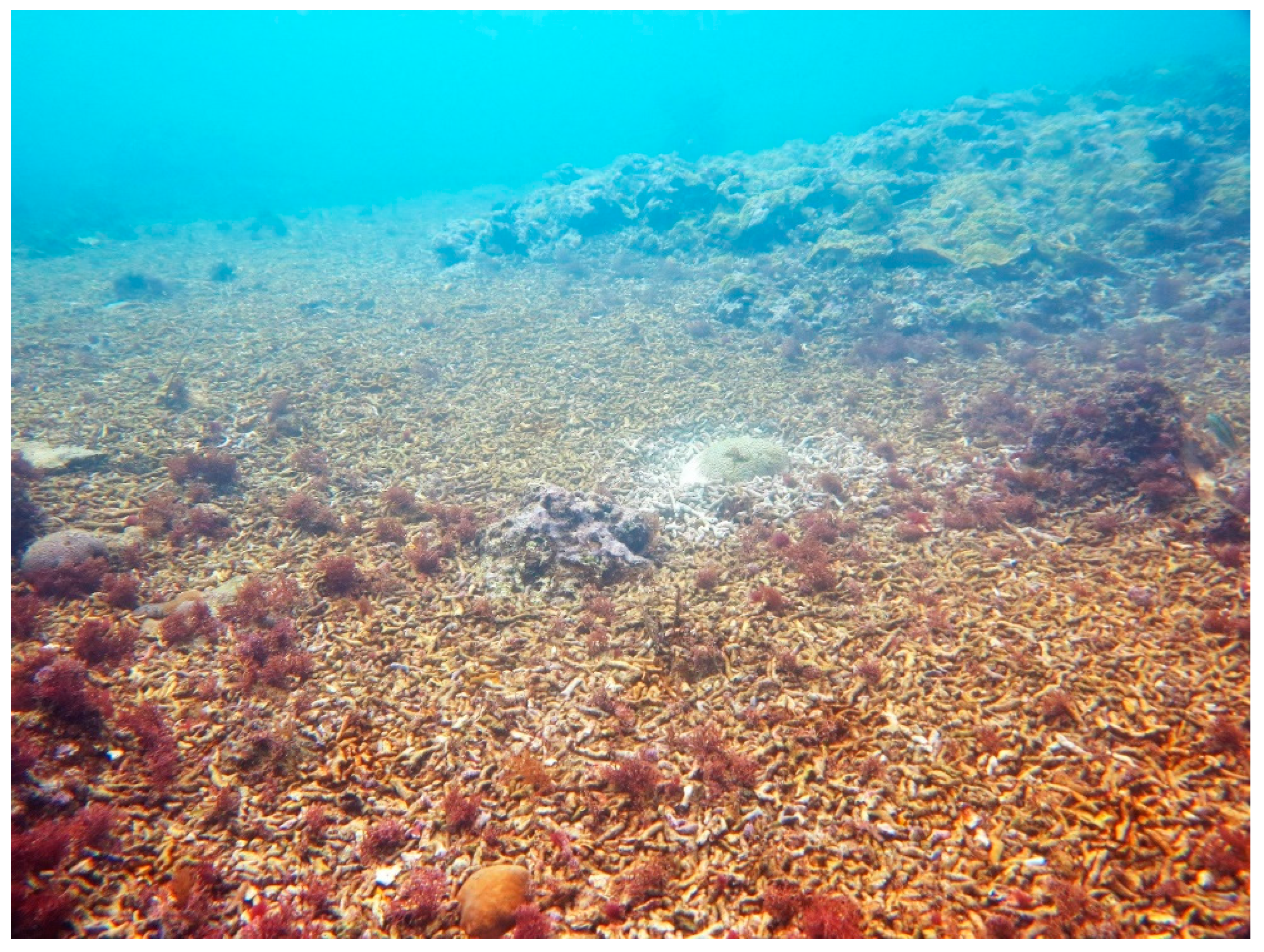 Sustainability 16 01506 g0a18