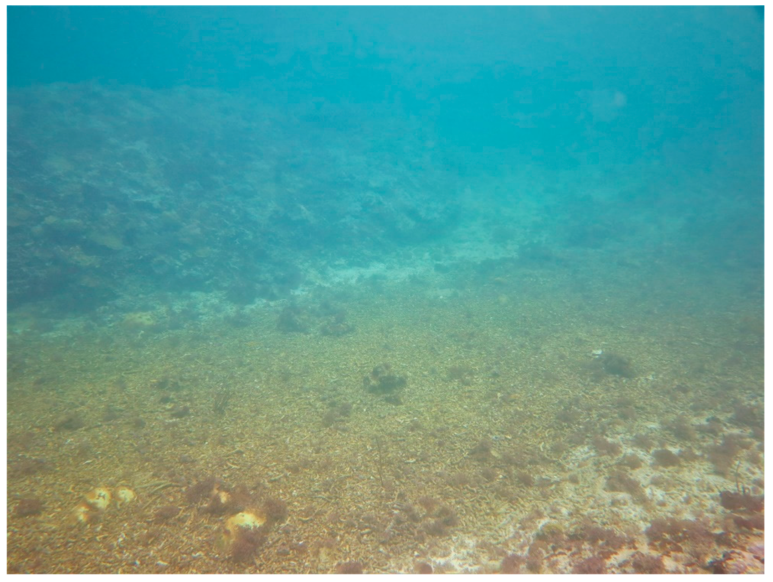 Sustainability 16 01506 g0a19