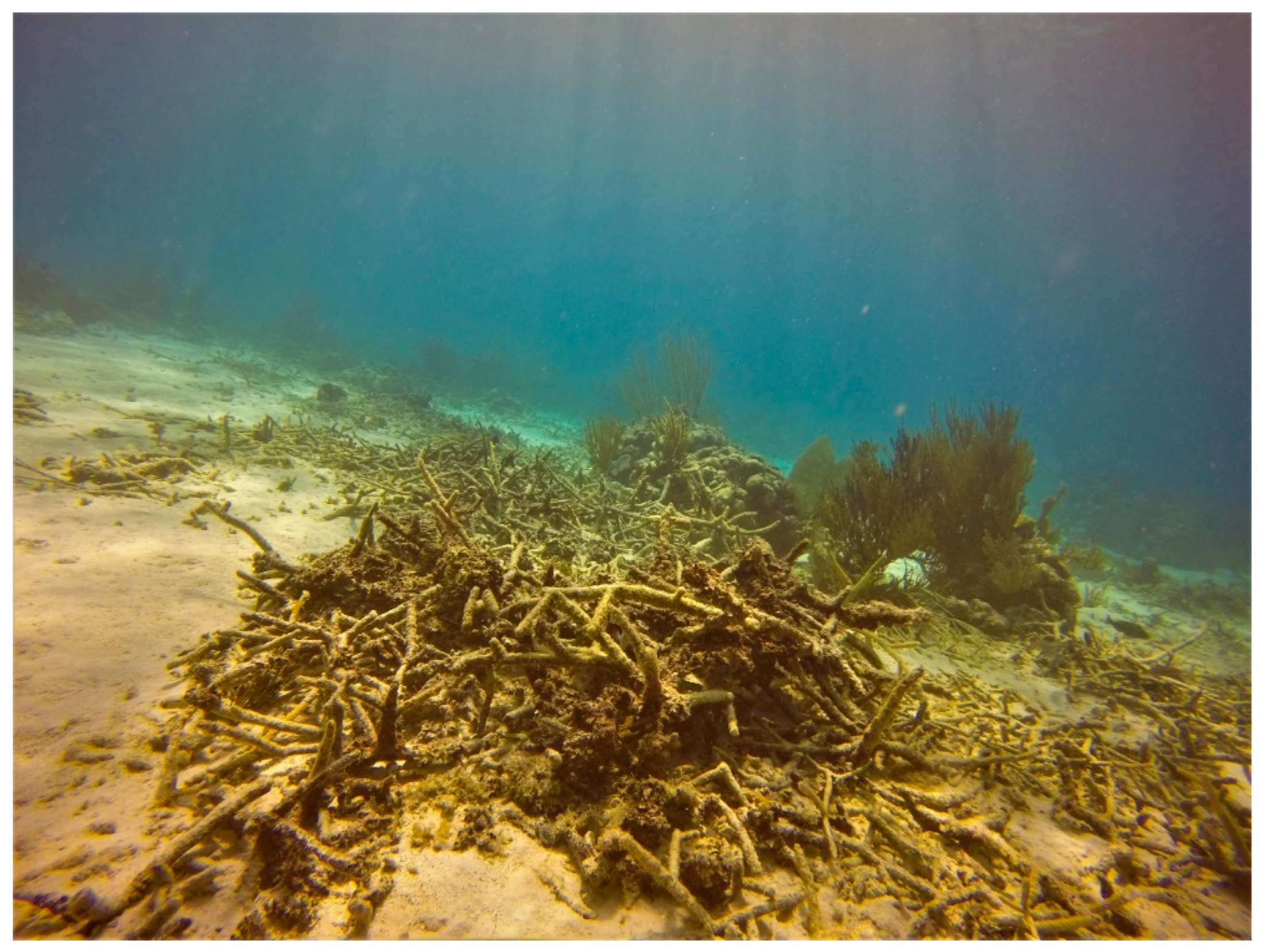 Sustainability 16 01506 g0a2