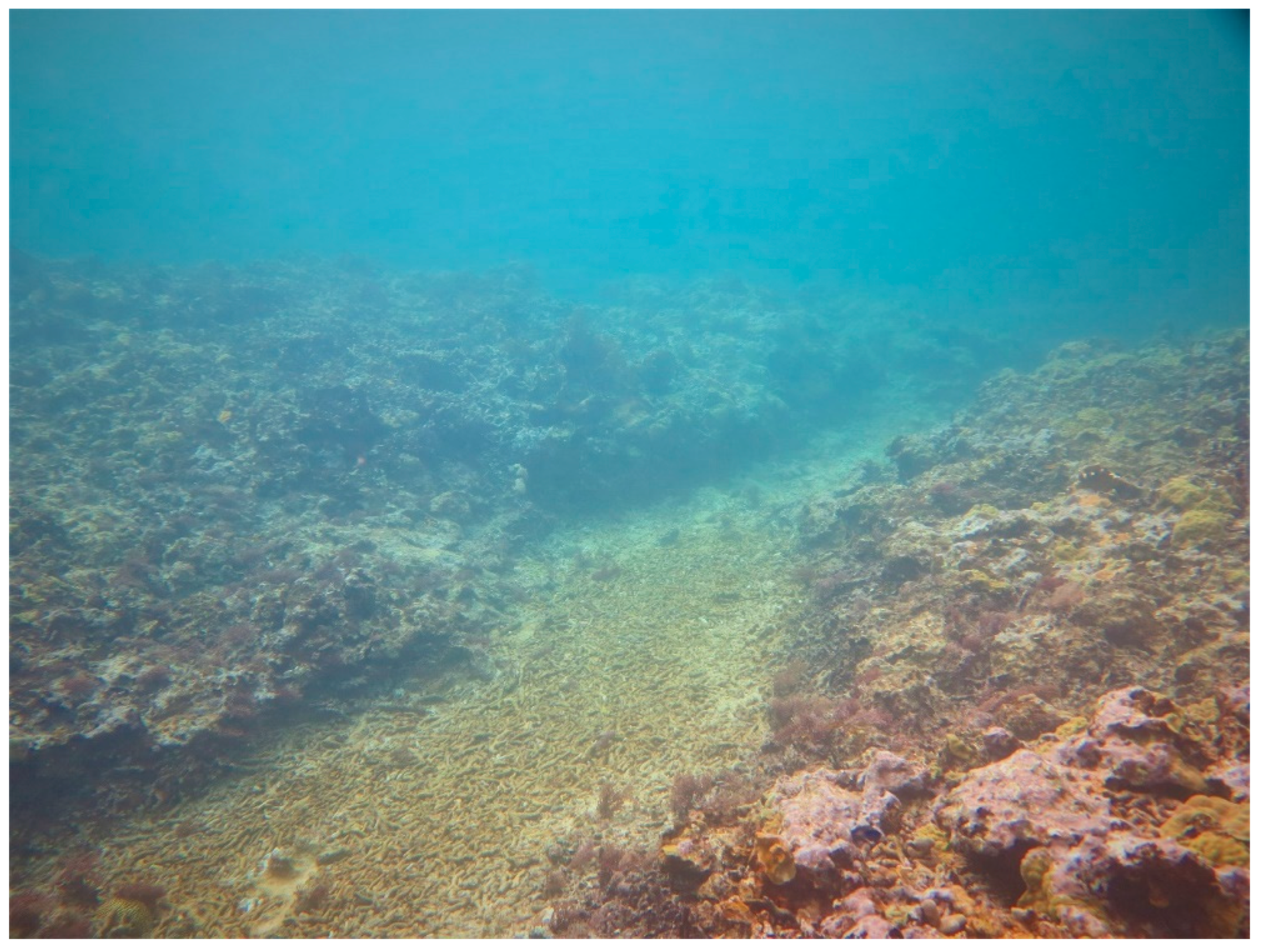 Sustainability 16 01506 g0a20